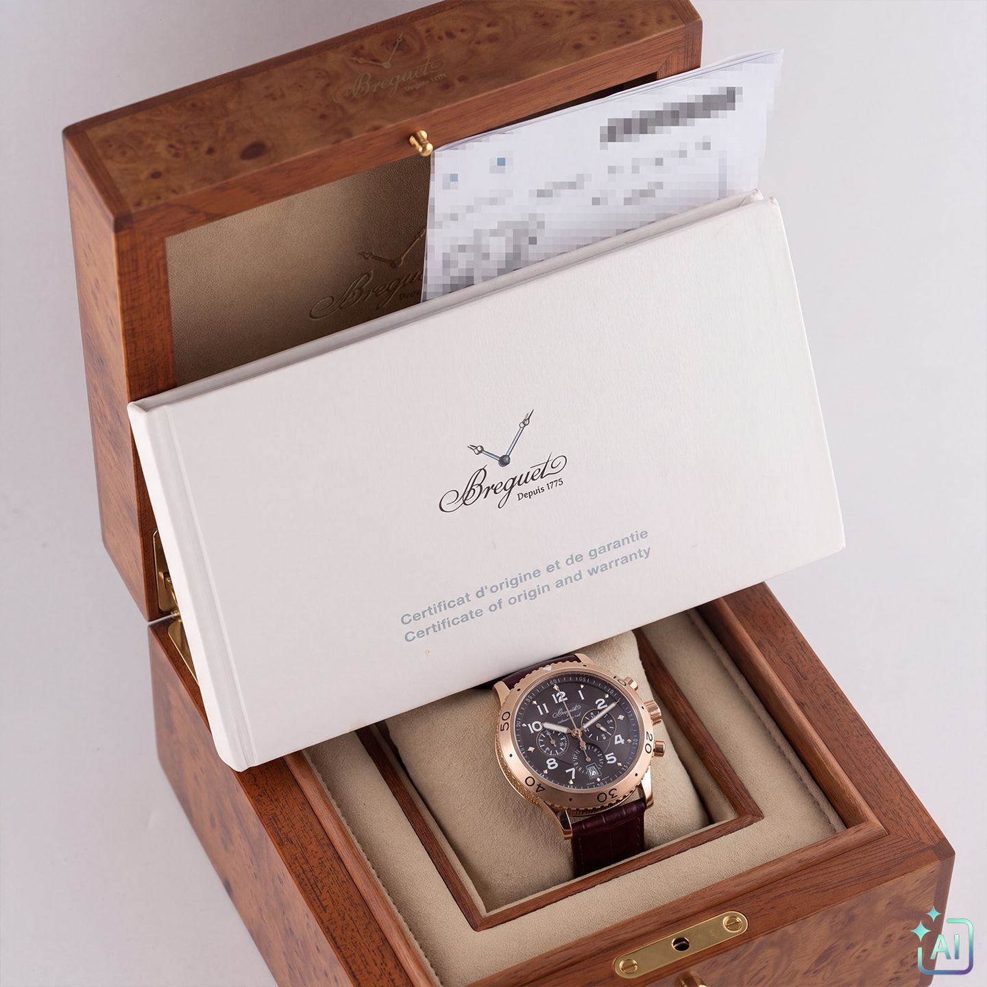 Breguet Type XX - XXI - XXII 3810BR/92/9ZU - (5/5)