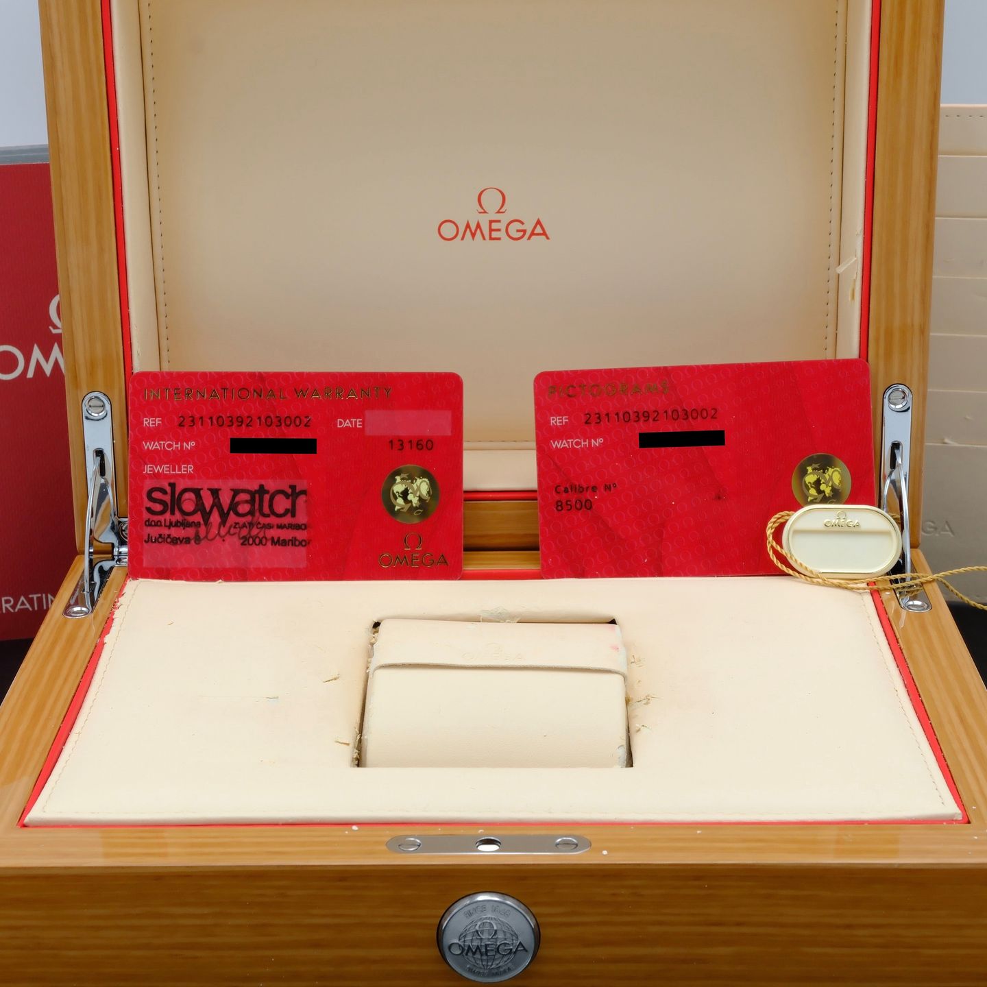 Omega Seamaster Aqua Terra 231.10.39.21.03.002 - (8/8)
