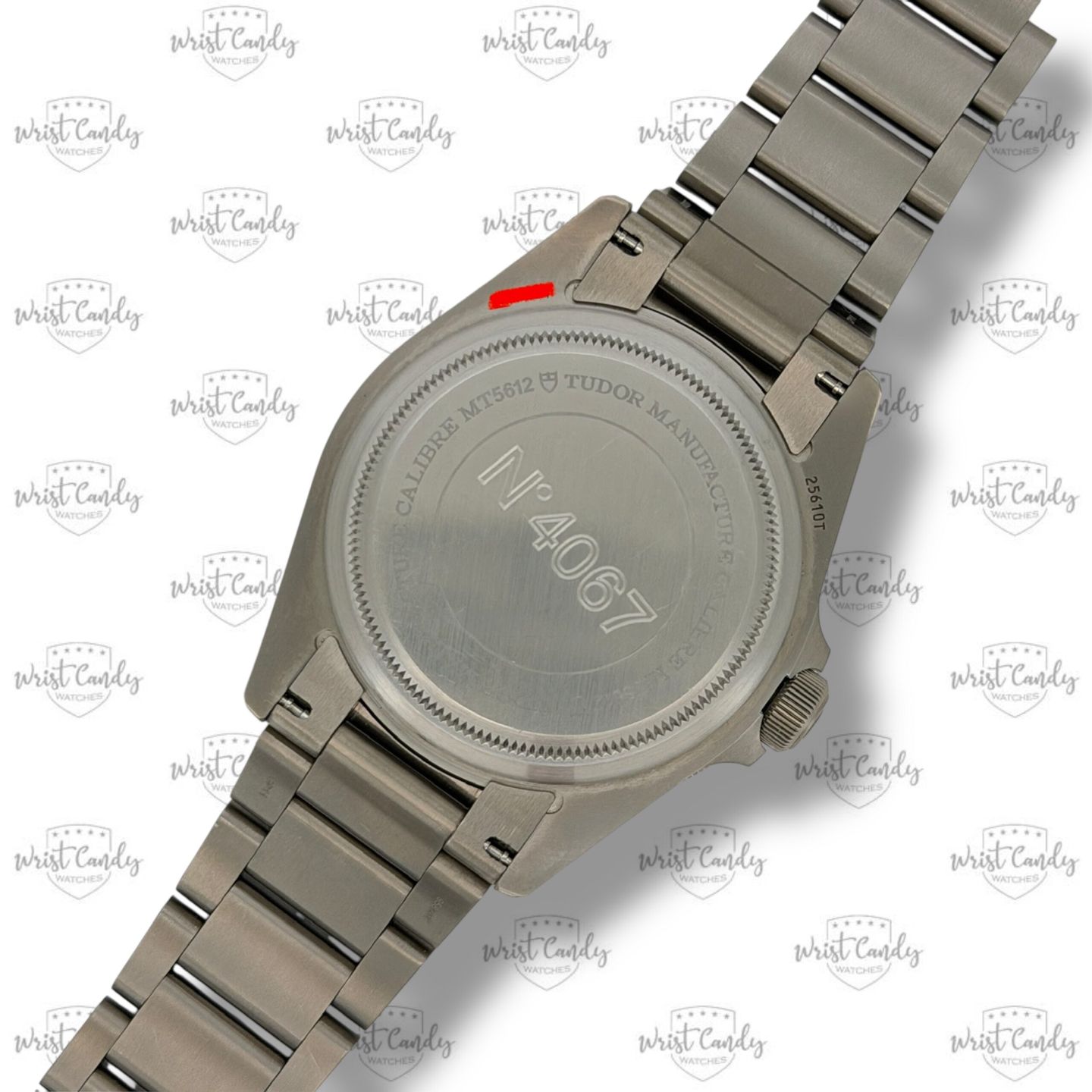 Tudor Pelagos 25610TNL - (5/8)