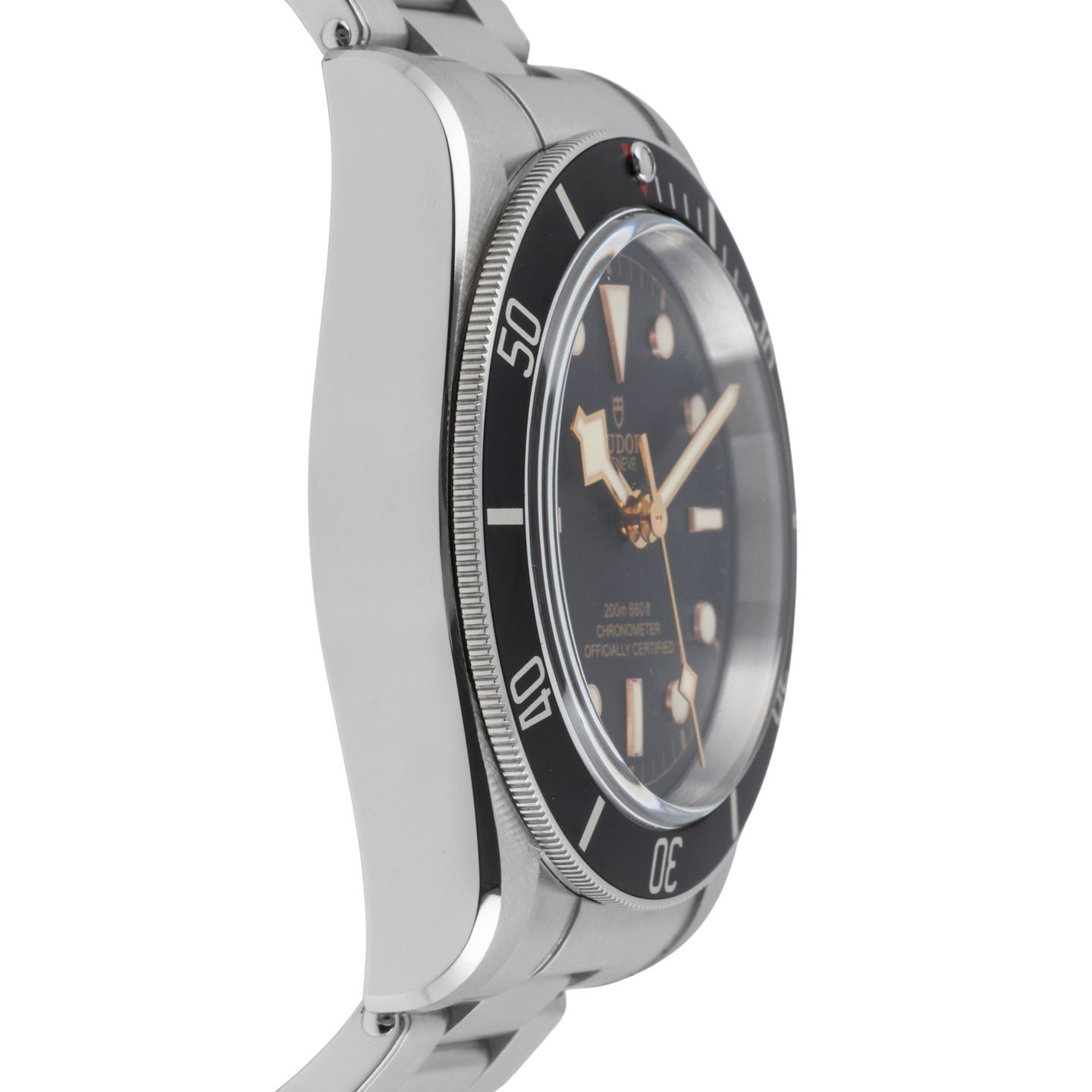 Tudor Black Bay 79230N - (7/8)