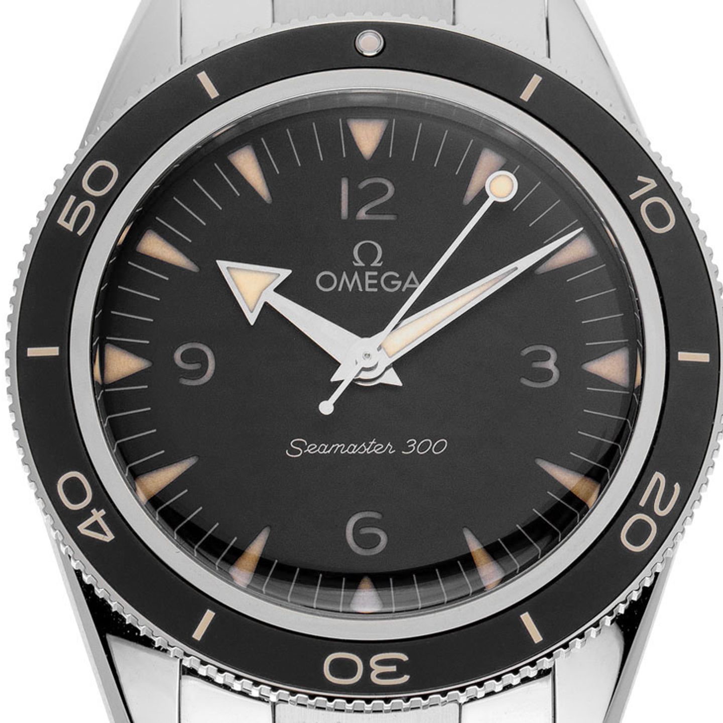 Omega Seamaster 300 234.30.41.21.01.001 - (1/8)