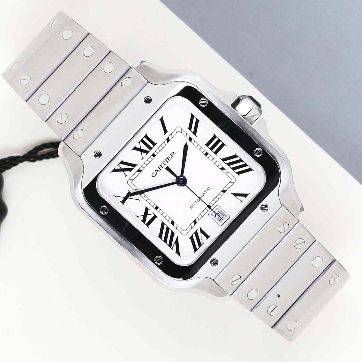 Cartier Santos WSSA0009 - (1/8)