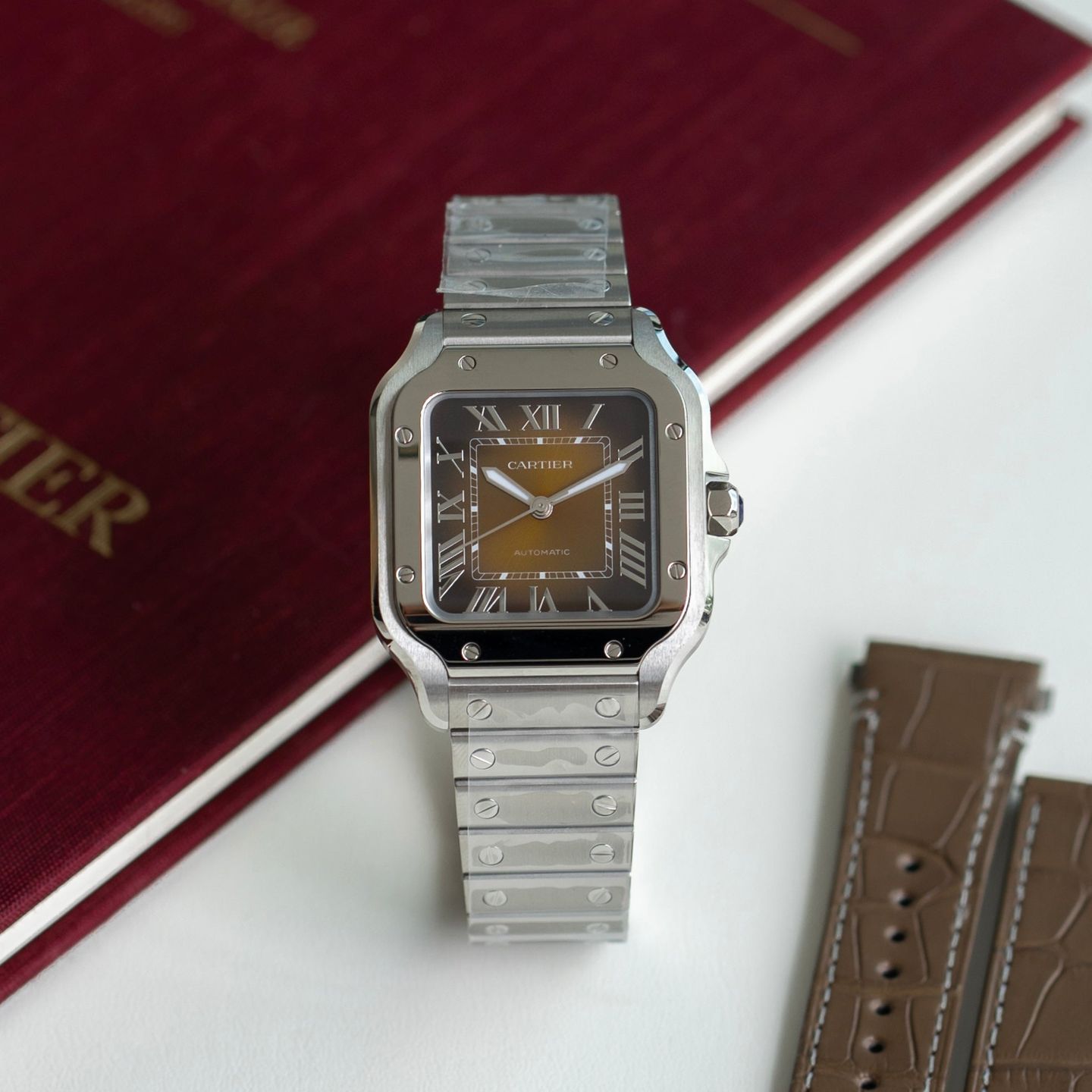 Cartier Santos WSSA0065 - (4/4)