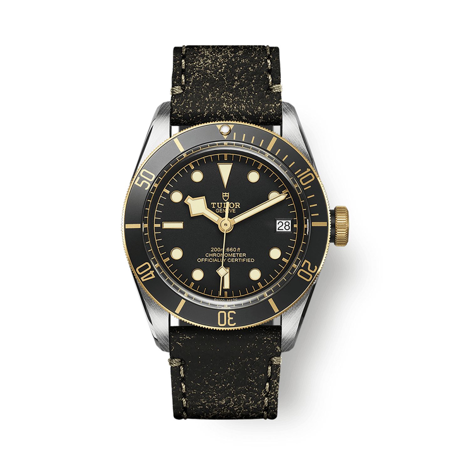 Tudor Black Bay S&G 79733N - (1/1)