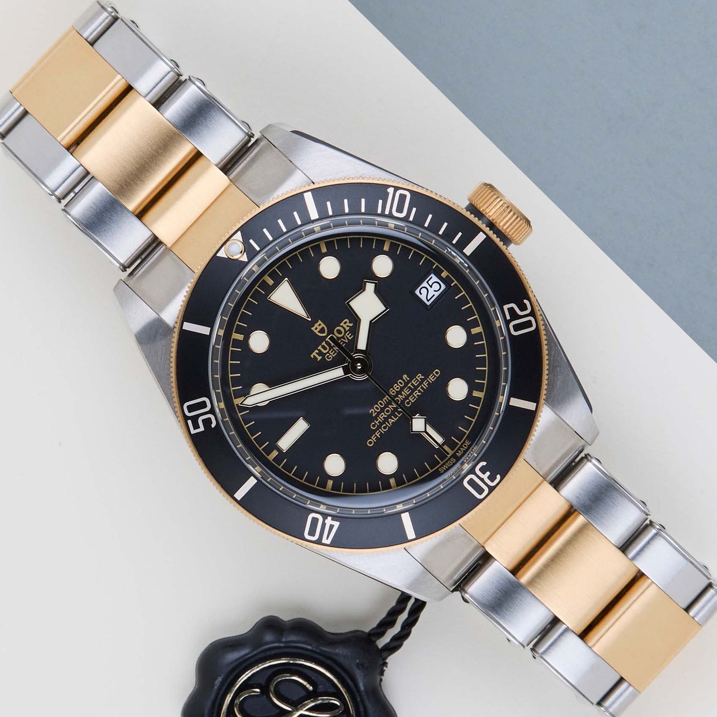 Tudor Black Bay S&G 79733N - (1/8)