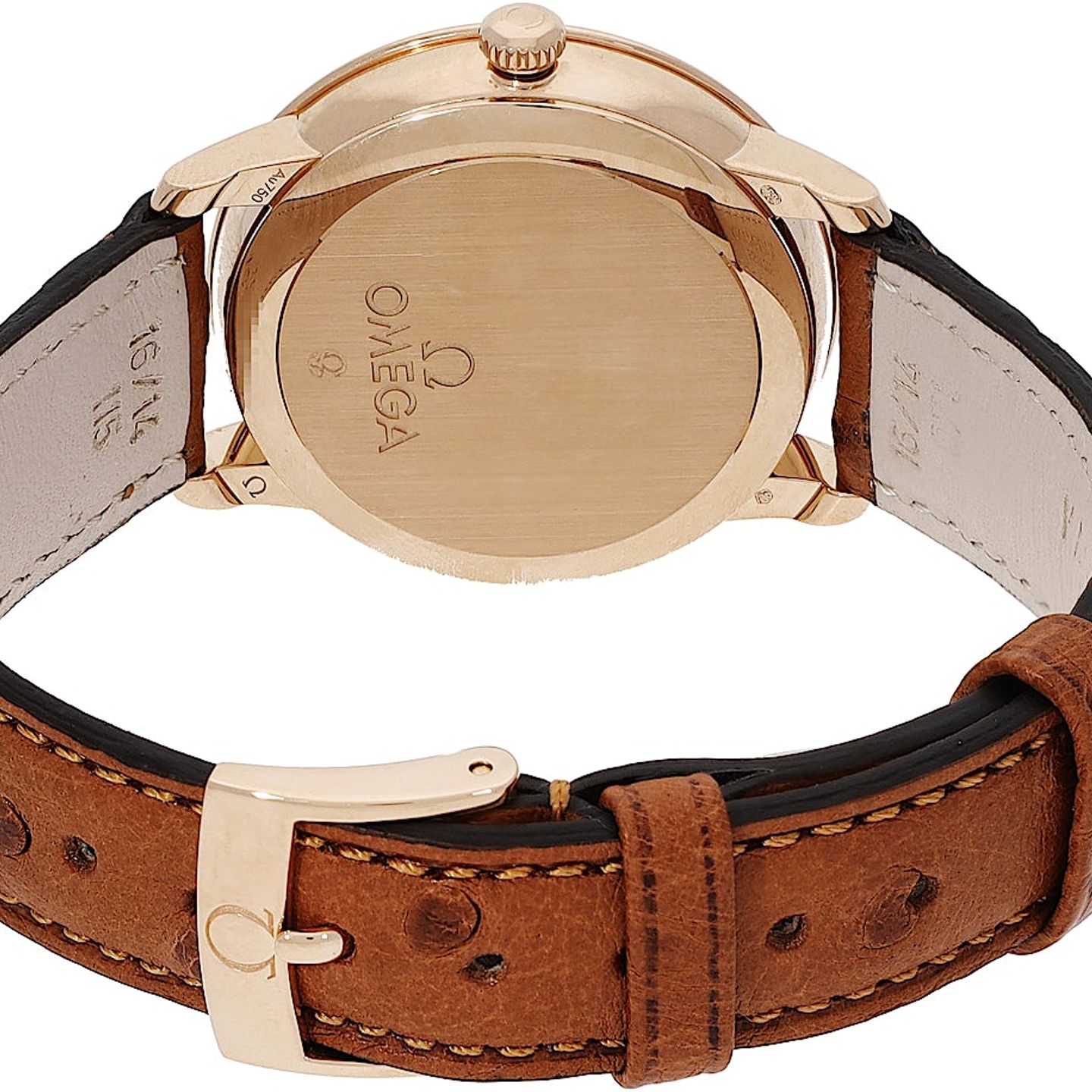 Unknown Unknown 424.53.33.20.05.001 (2024) - (5/5)