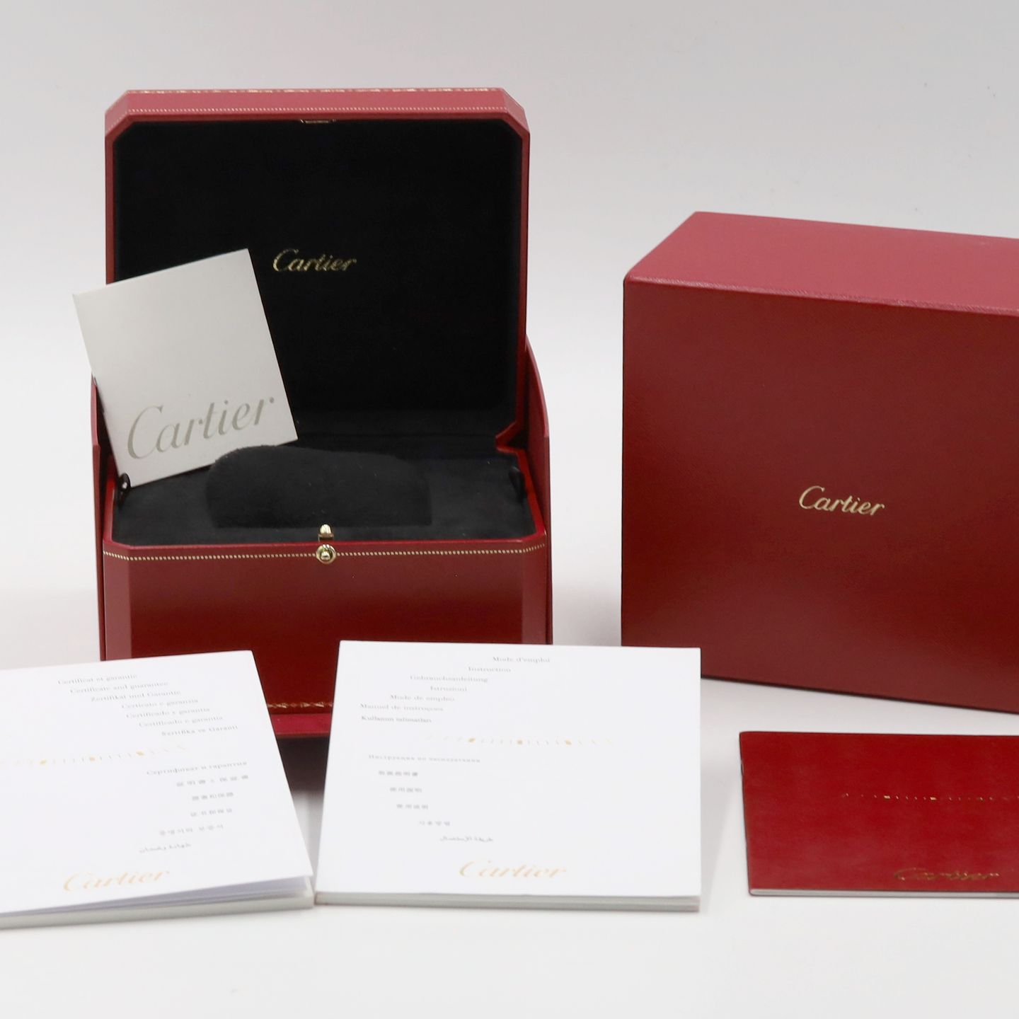 Cartier Santos 100 W2020009 - (8/8)