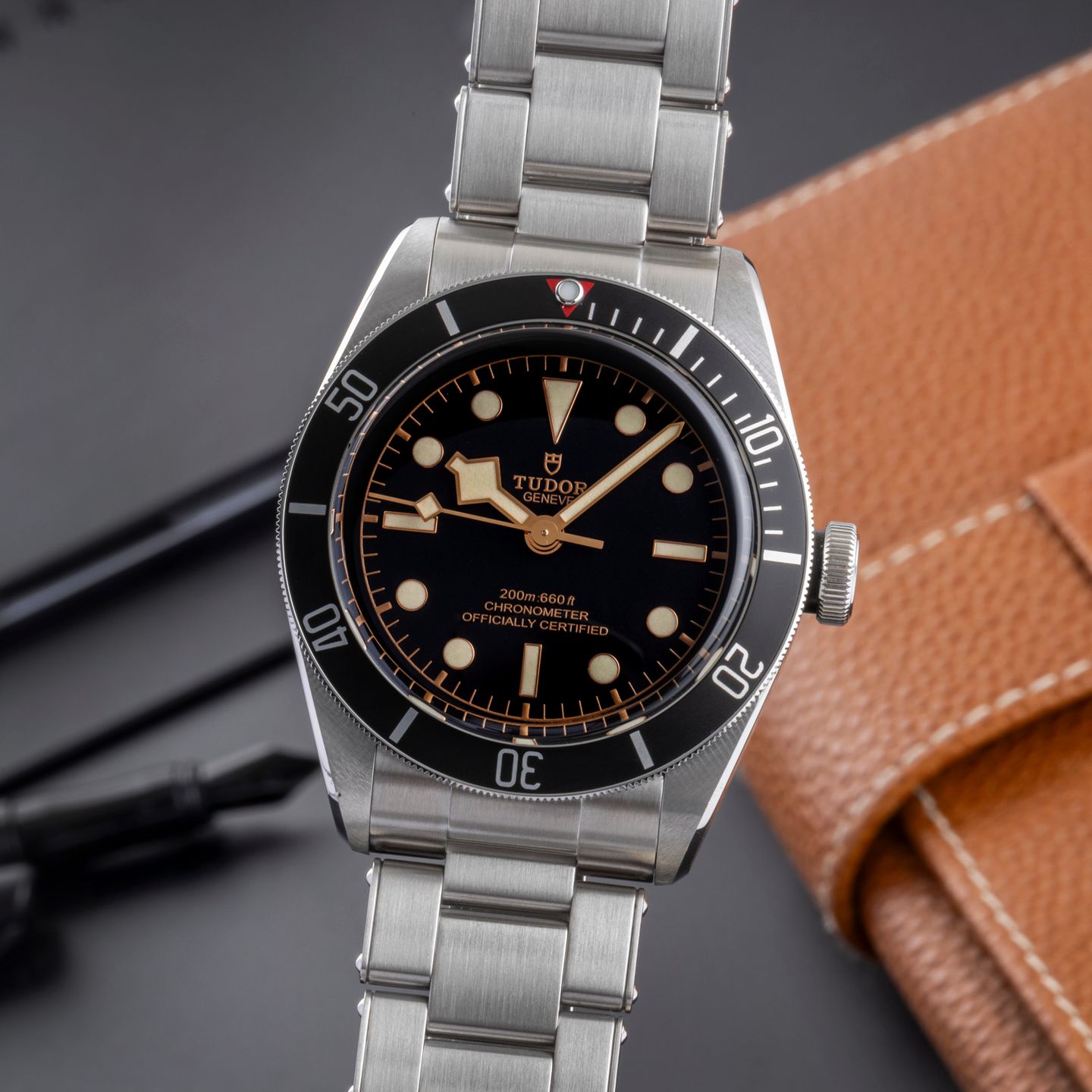 Tudor Black Bay 79230N - (3/8)