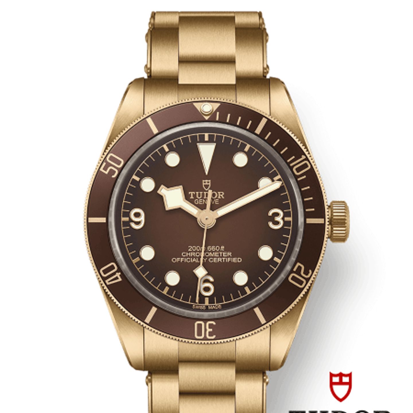 Tudor Black Bay Bronze 79012M - (1/1)