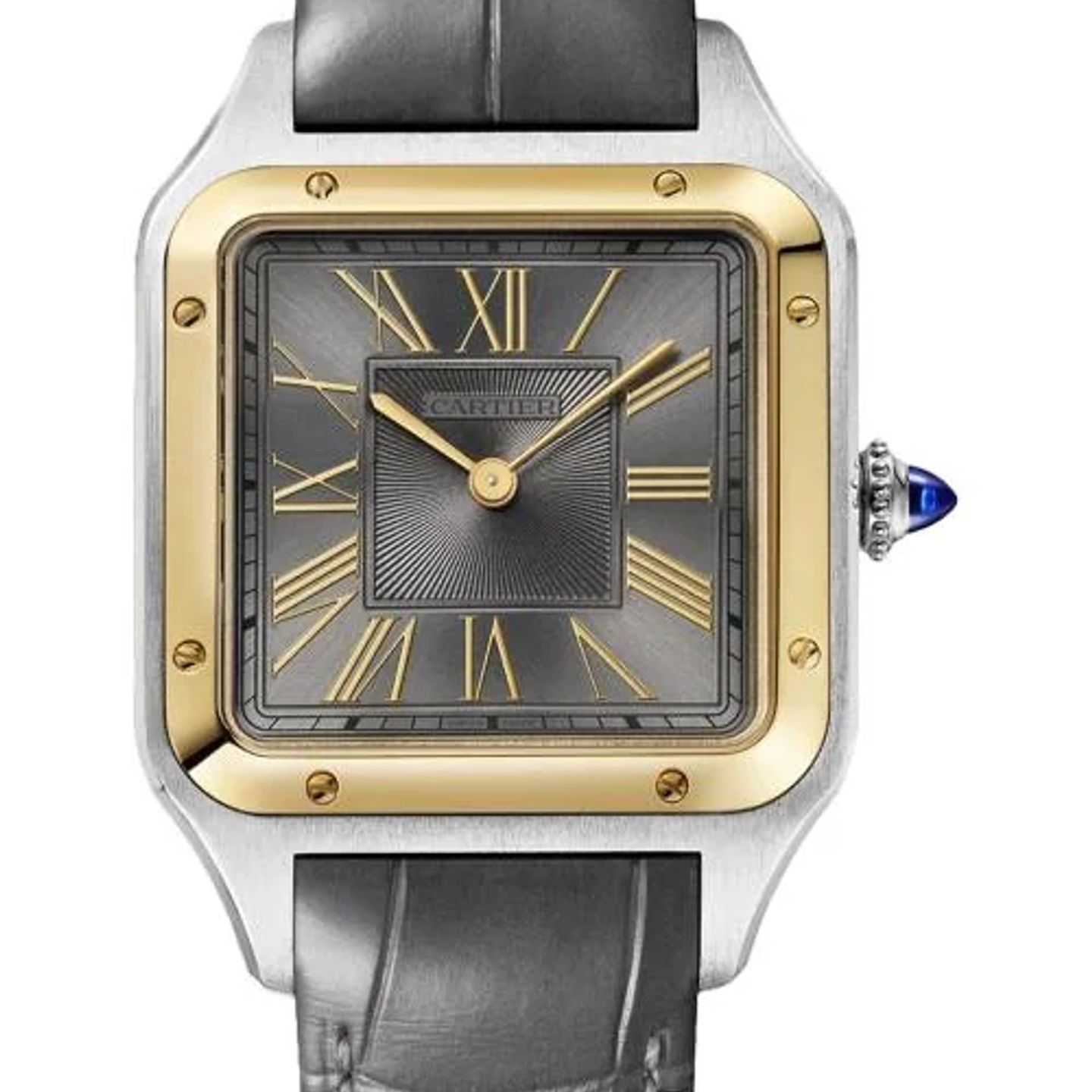 Cartier Santos Dumont W2SA0036 (2026) - Grey dial 44 mm Steel case (1/1)