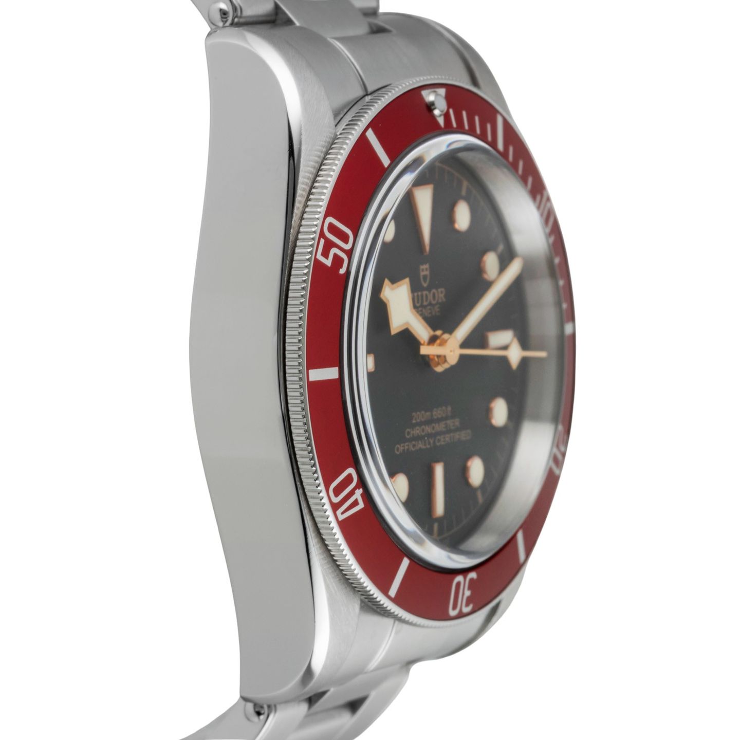 Tudor Black Bay 79230R - (7/8)