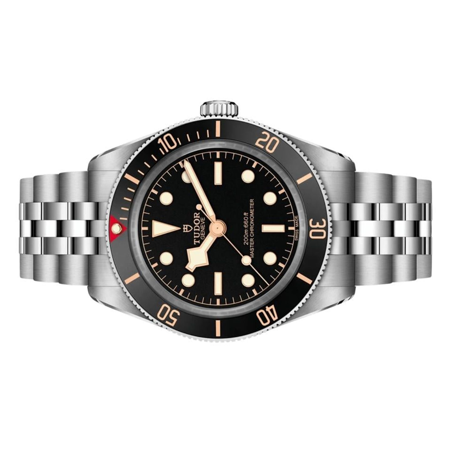 Tudor Black Bay 7939A1A0NU - (9/18)