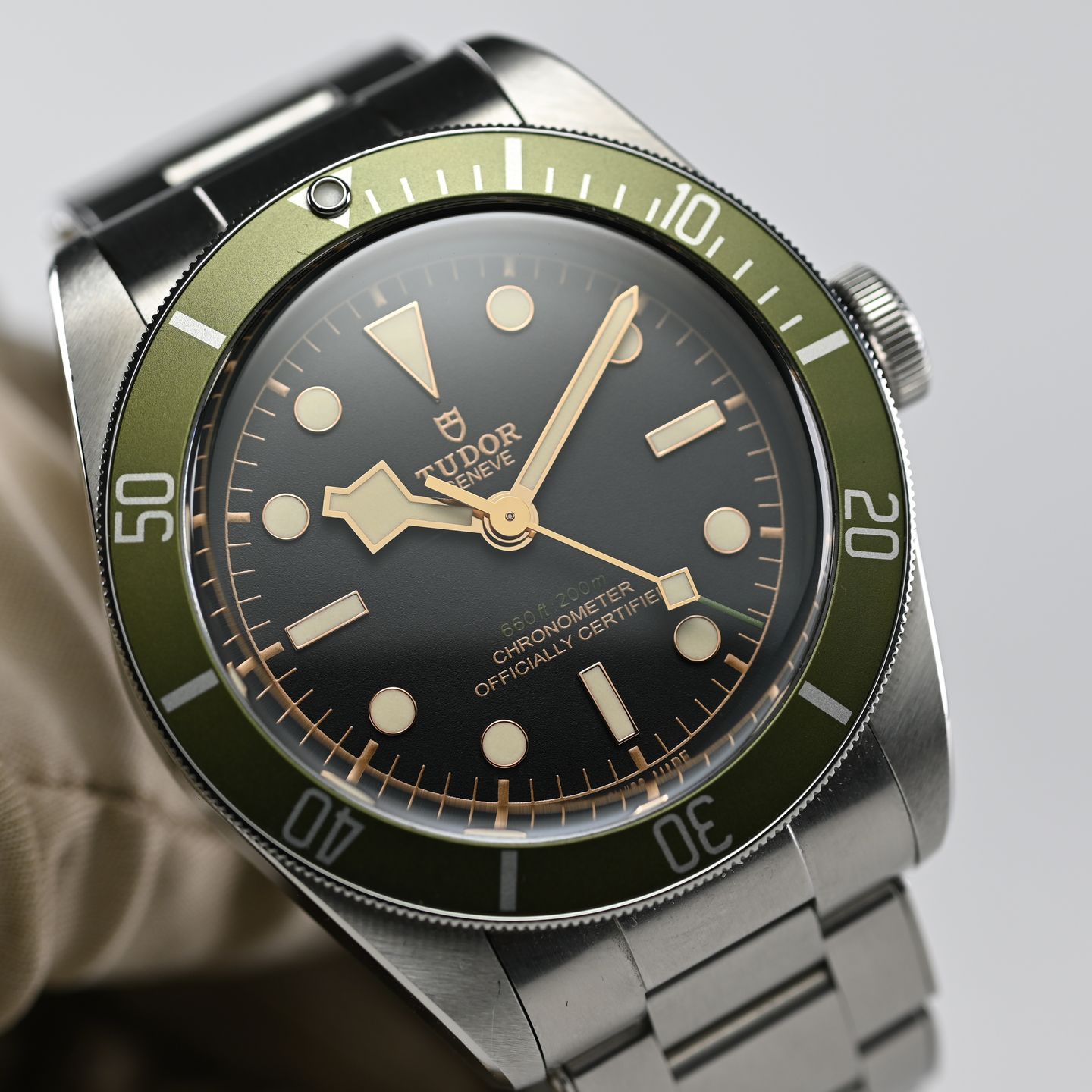 Tudor Black Bay 41 M79230G-0001 - (1/8)