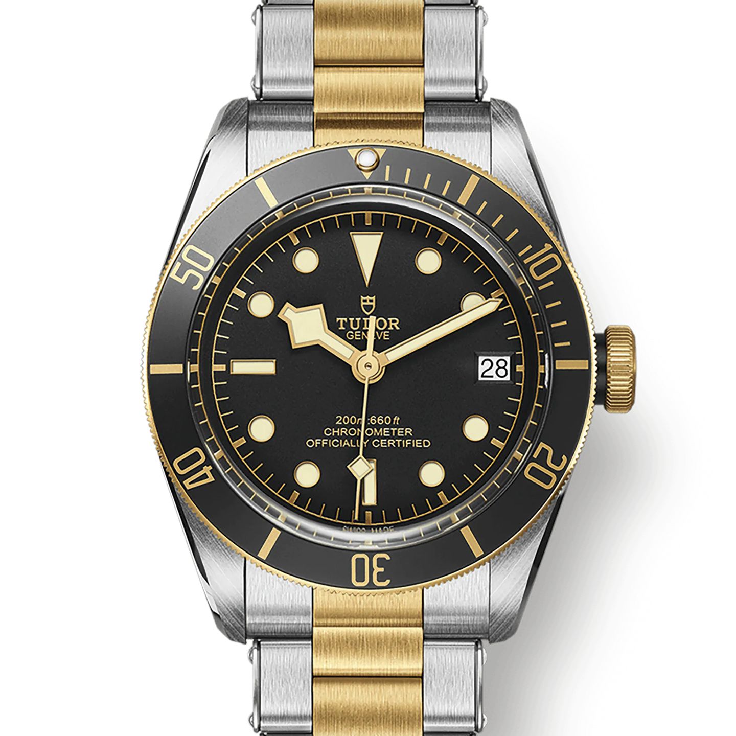 Tudor Black Bay S&G 79733N-0008 - (1/8)