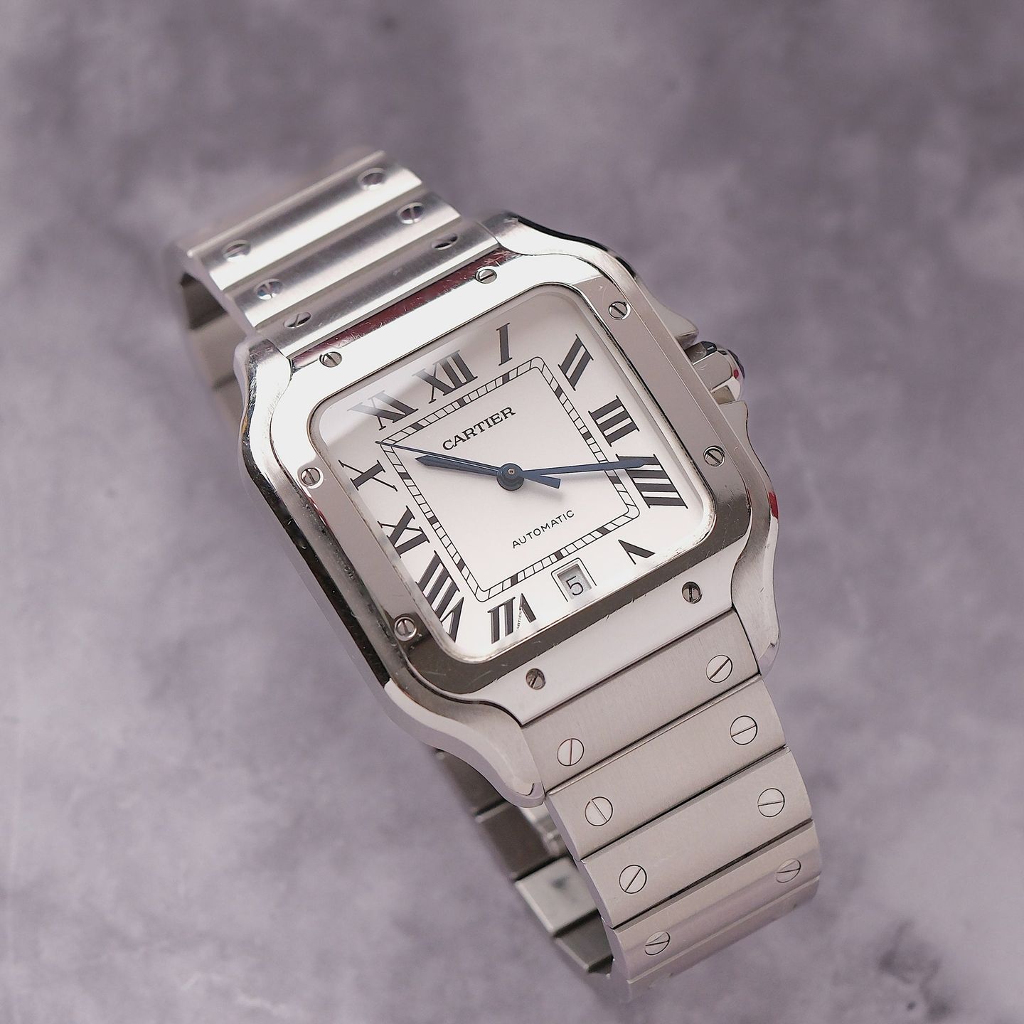 Cartier Santos WSSA0009 - (8/8)
