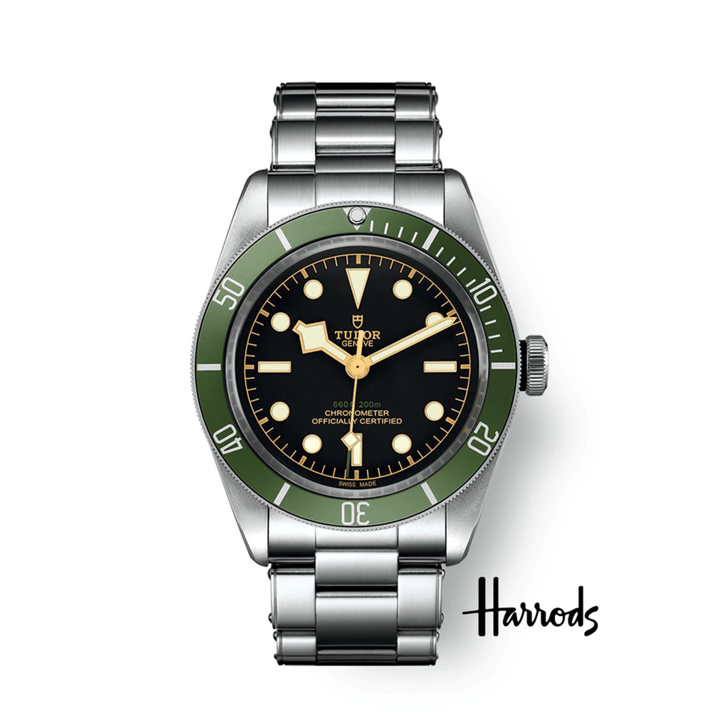 Tudor Black Bay 79230G - (1/1)