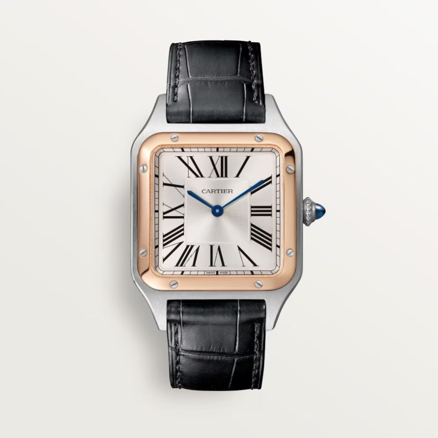 Cartier Santos Dumont W2SA0037 - (1/1)