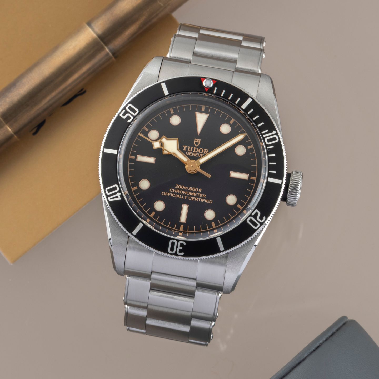 Tudor Black Bay 79230N - (1/8)
