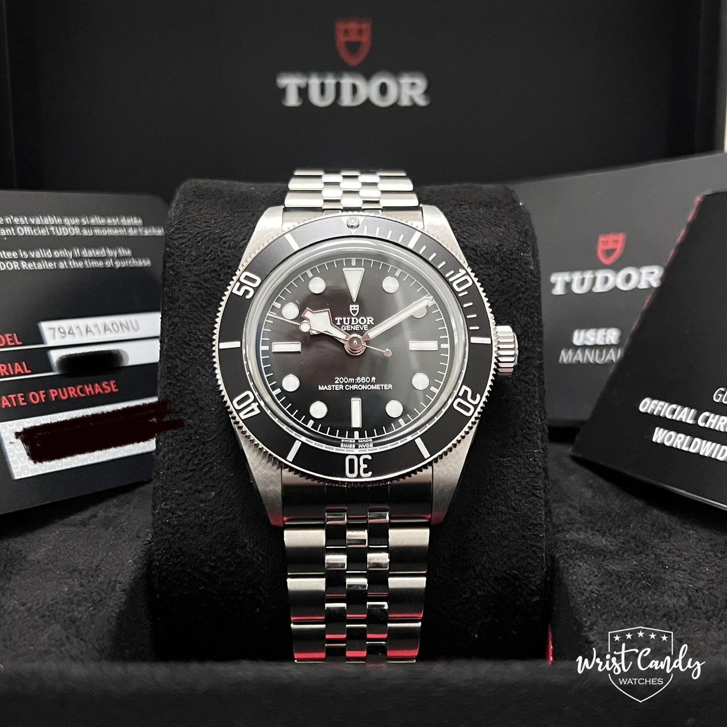 Tudor Black Bay 7941A1A0NU - (7/7)