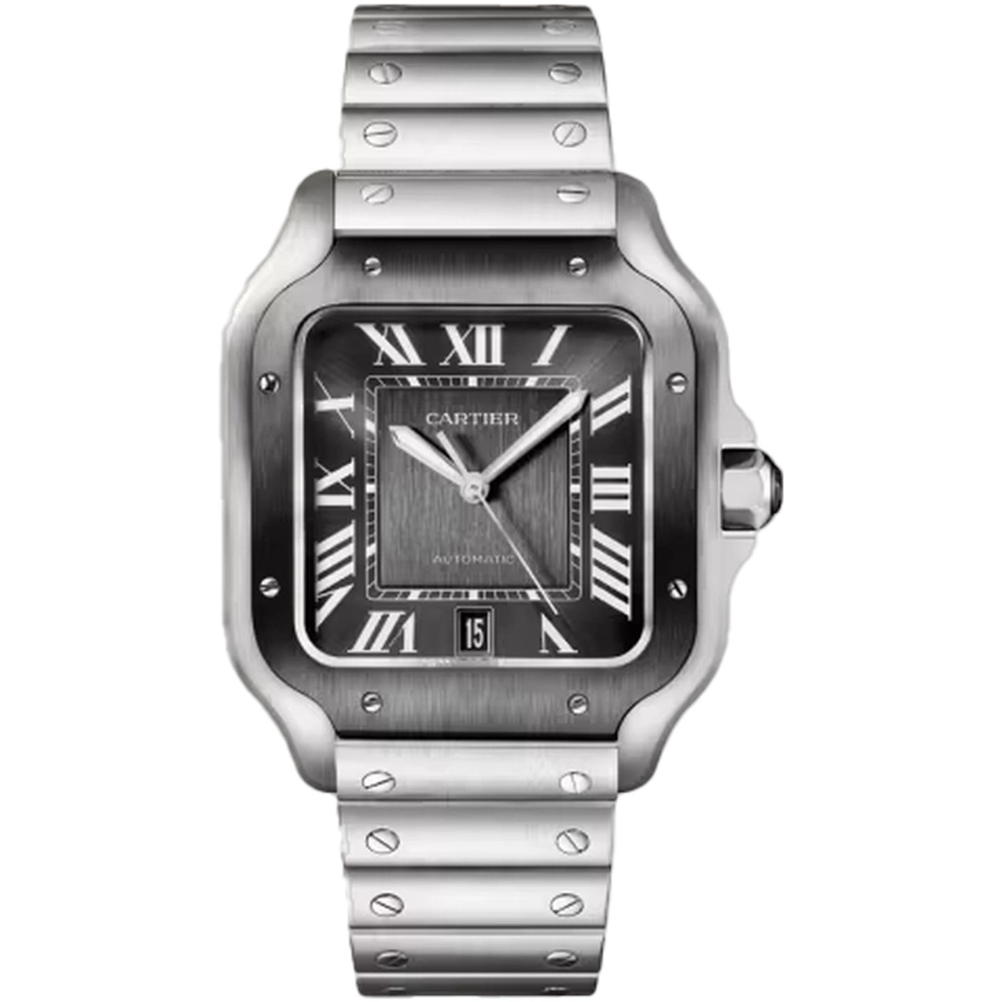 Cartier Santos WSSA0037 - (1/1)
