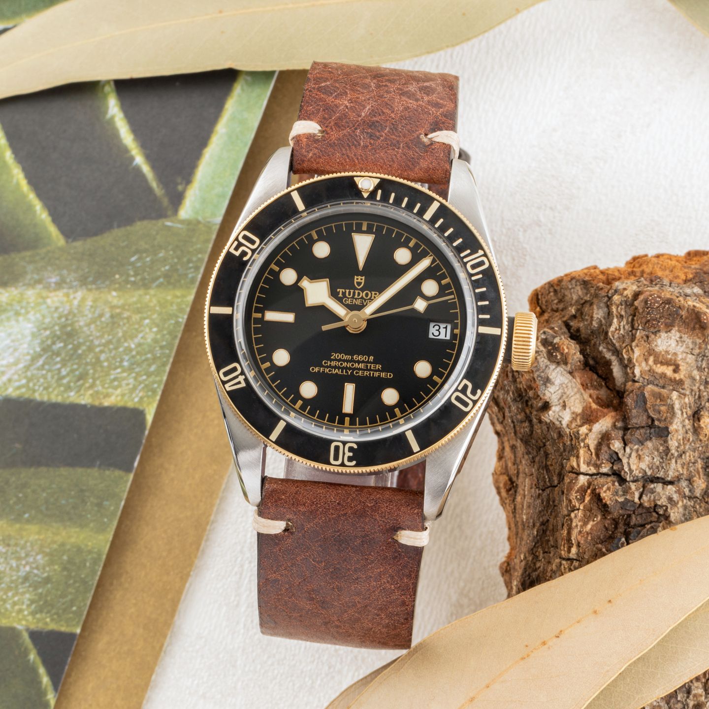 Tudor Black Bay S&G 79733N - (1/8)