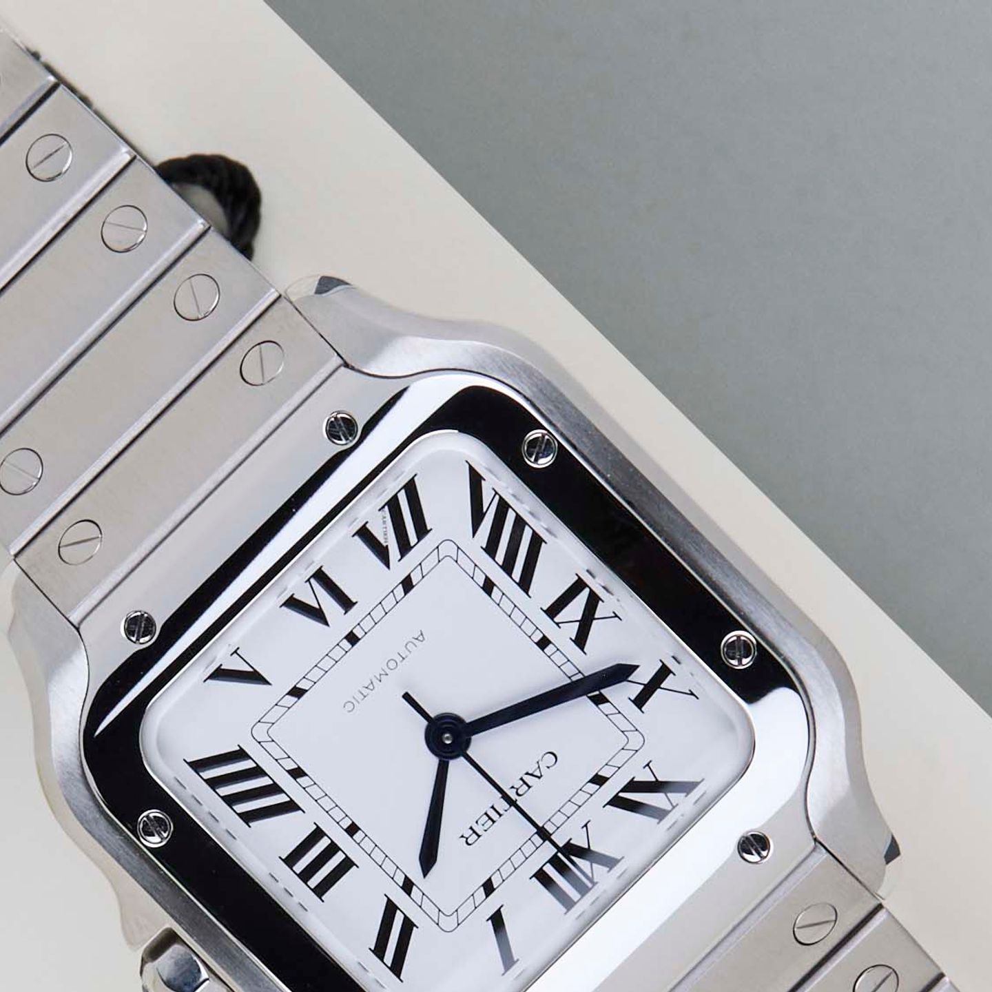 Cartier Santos WSSA0029 - (4/8)