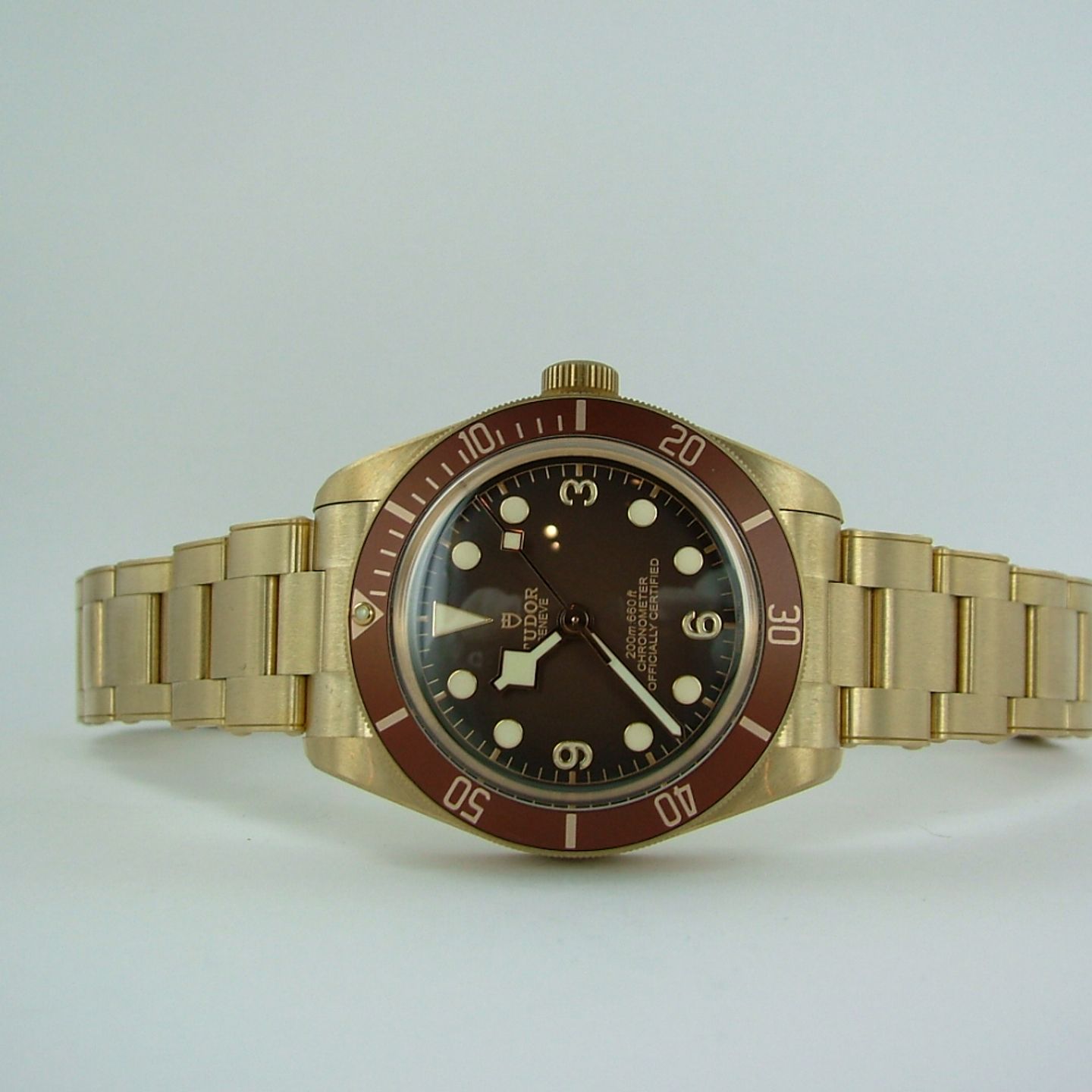 Tudor Black Bay - (2022) - Brown dial 39 mm Bronze case (1/8)