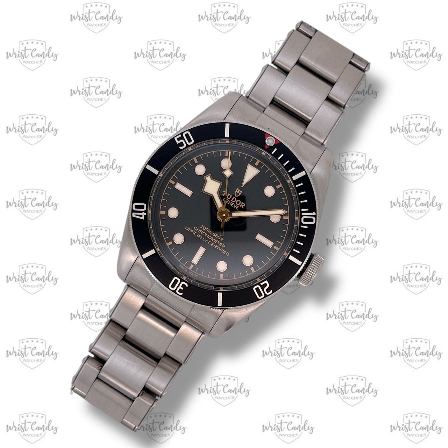Tudor Black Bay 79230N - (3/8)