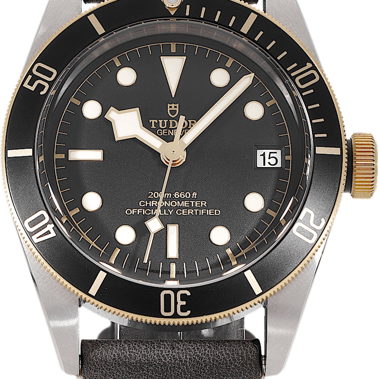 Tudor Black Bay S&G M79733N-0007 (2019) - Black dial 41 mm Steel case (2/5)