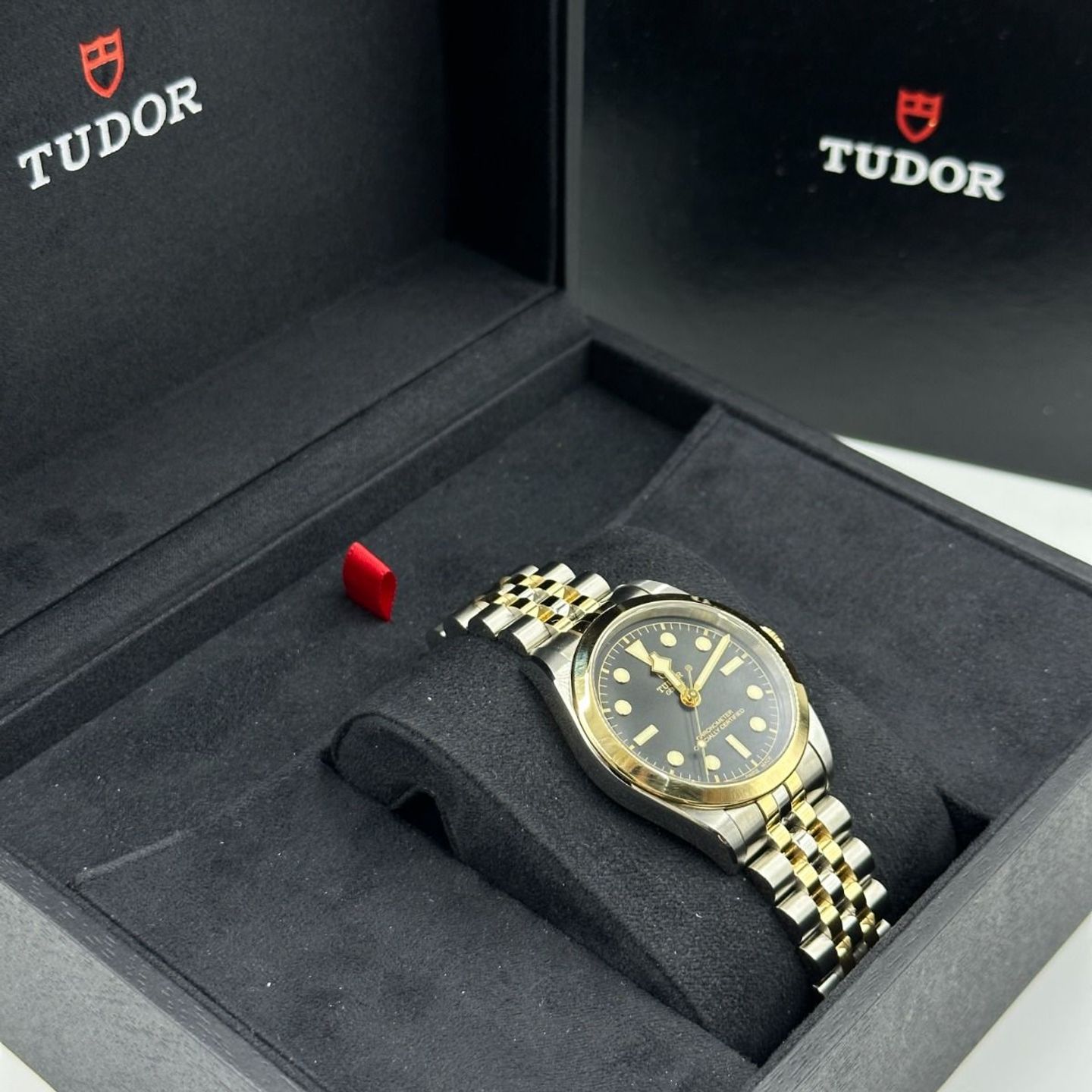 Tudor Black Bay S&G 79643-0001 - (3/8)