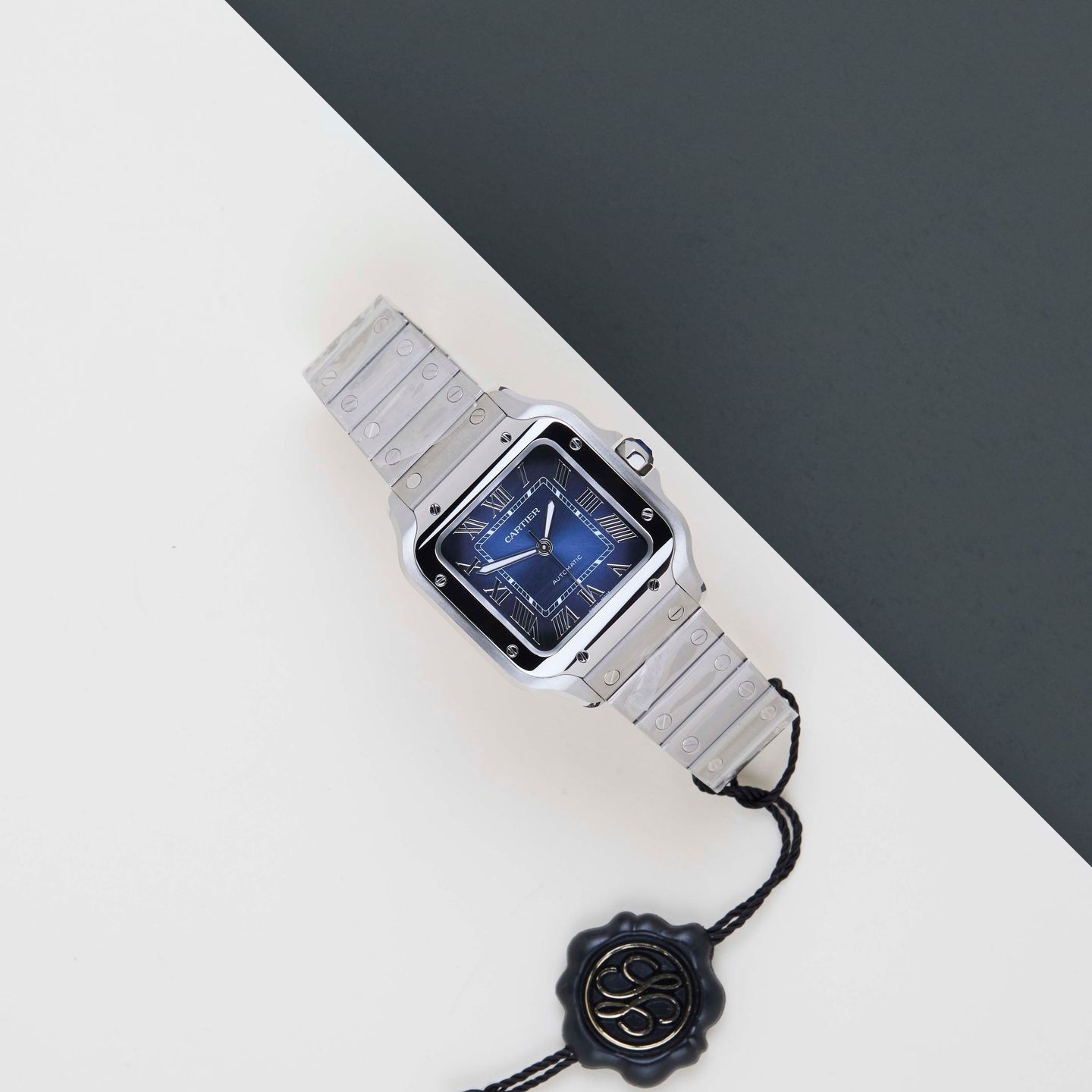 Cartier Santos WSSA0063 - (2/8)