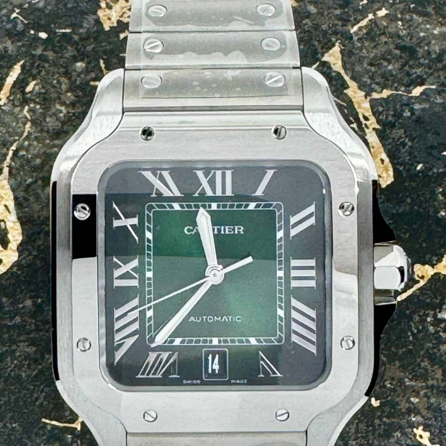 Cartier Santos WSSA0062 - (2/8)