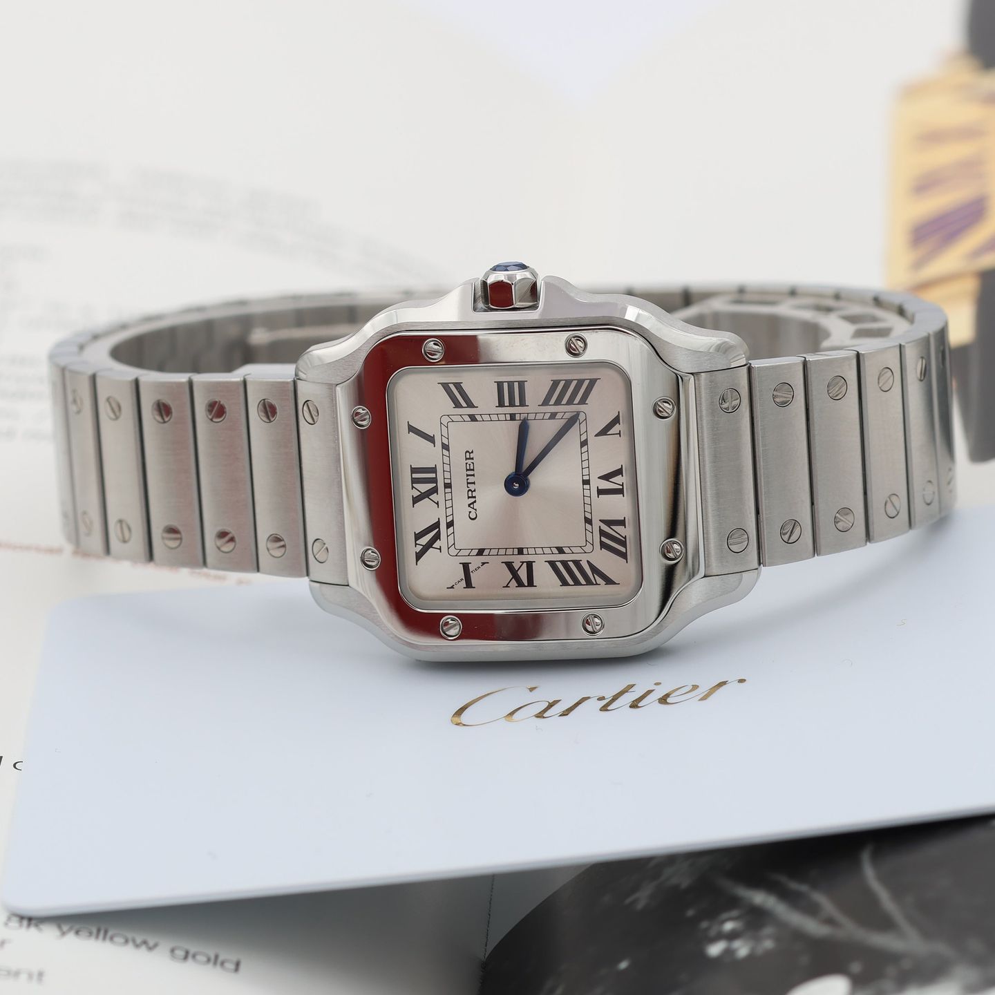 Cartier Santos WSSA0030 - (8/8)