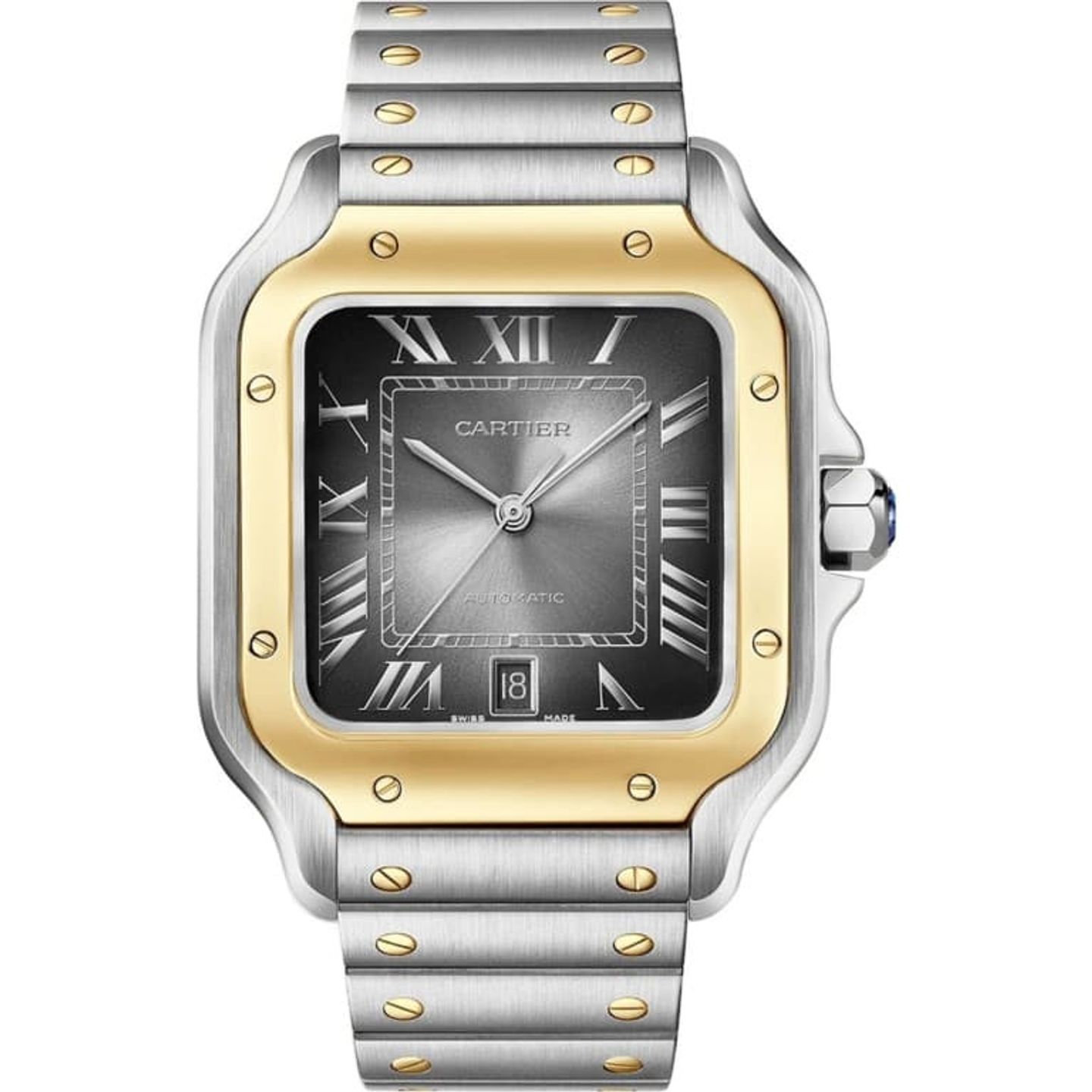 Cartier Santos W2SA0030 (2024) - Grijs wijzerplaat Onbekend Goud/Staal (1/1)