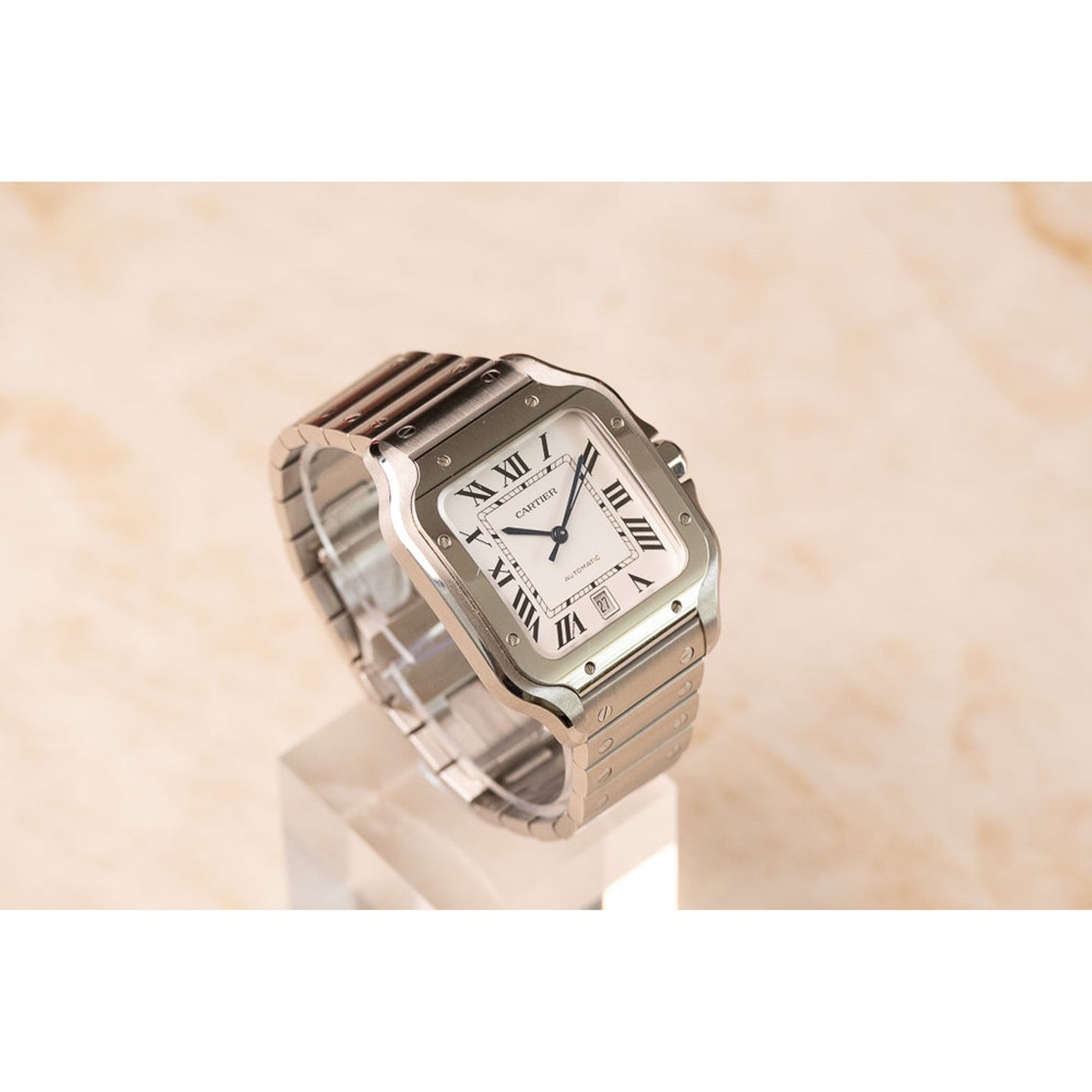 Cartier Santos WSSA0029 - (1/8)
