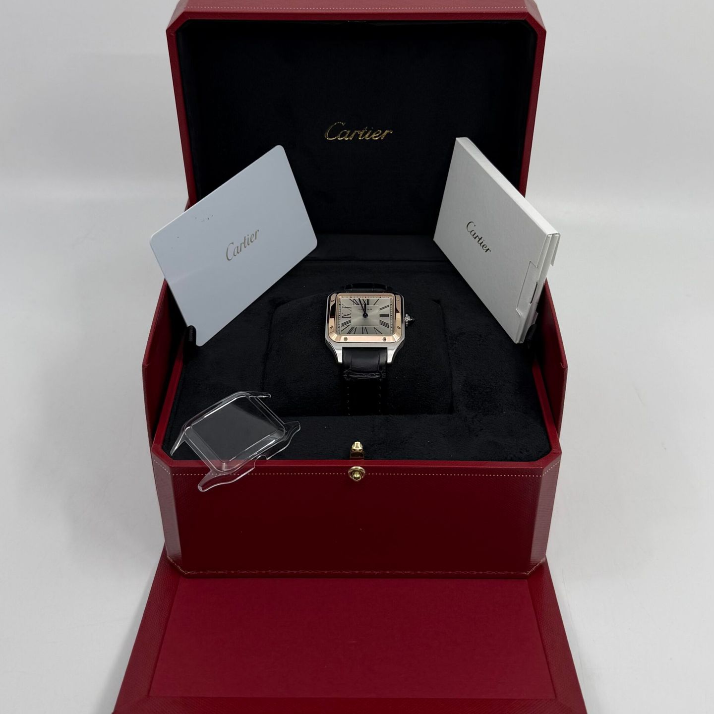 Cartier Santos Dumont W2SA0037 - (3/8)