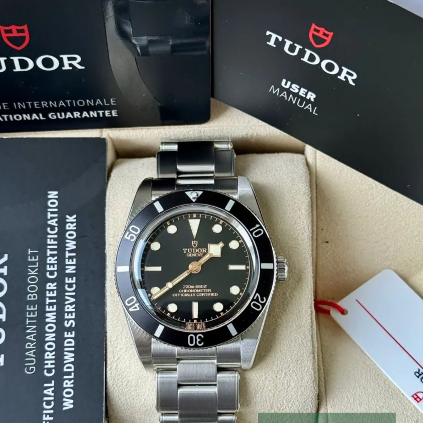 Tudor Black Bay 54 79000N - (7/7)