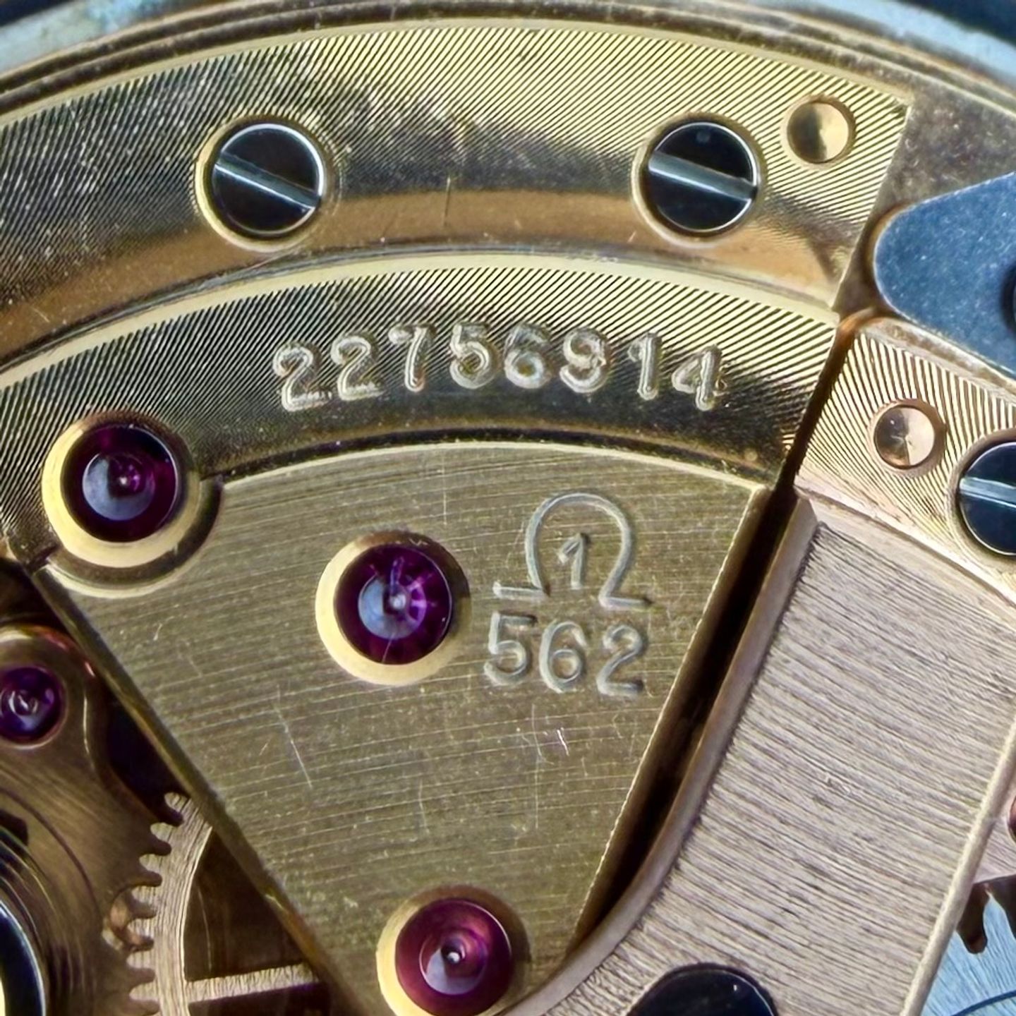 Omega Seamaster 166.020 (1965) - White dial 34 mm Yellow Gold case (4/8)