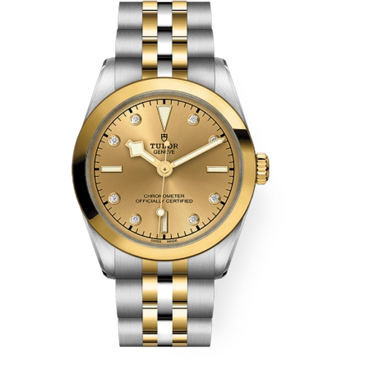 Tudor Black Bay S&G 79603 - (1/1)