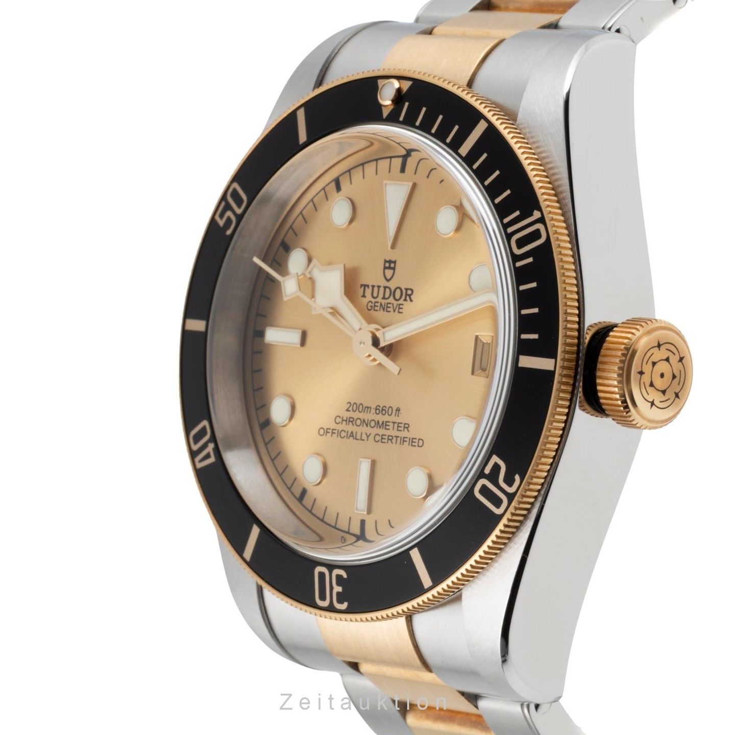 Tudor Black Bay S&G 79733N - (5/8)