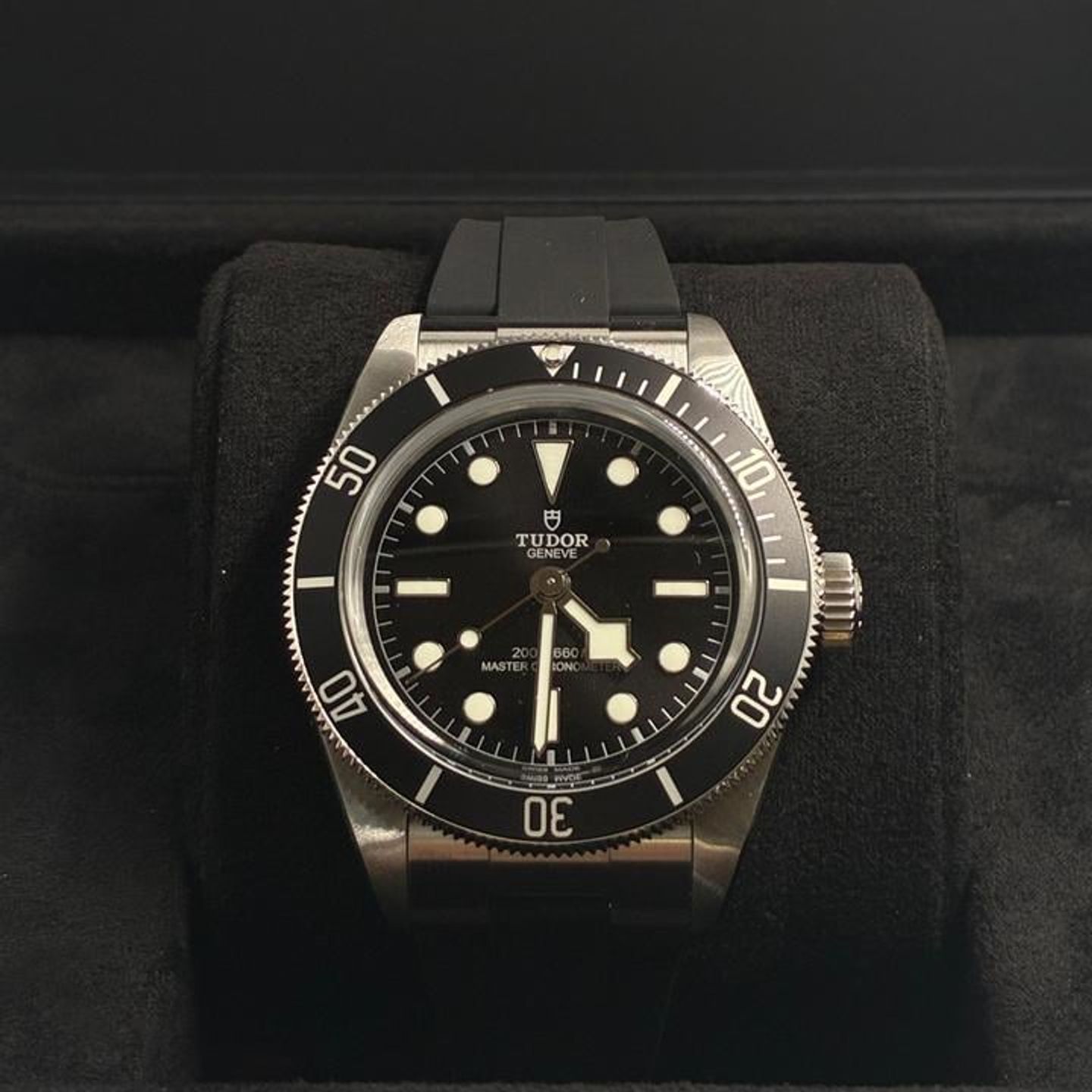 Tudor Black Bay 7941A1A0NU - (1/9)