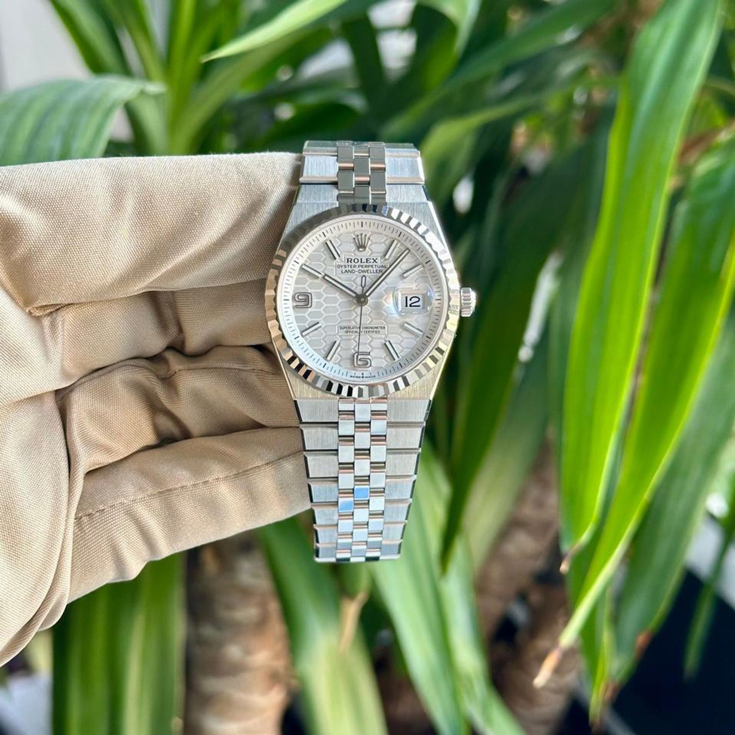Rolex Land-Dweller 40 127234 - (3/8)