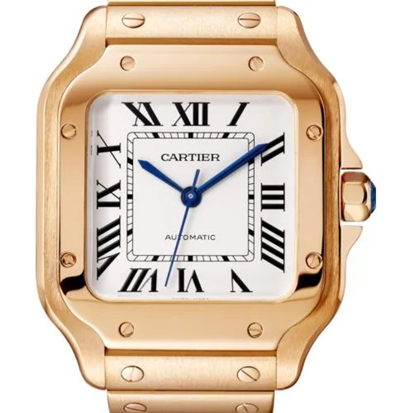 Cartier Santos WGSA0031 - (1/1)