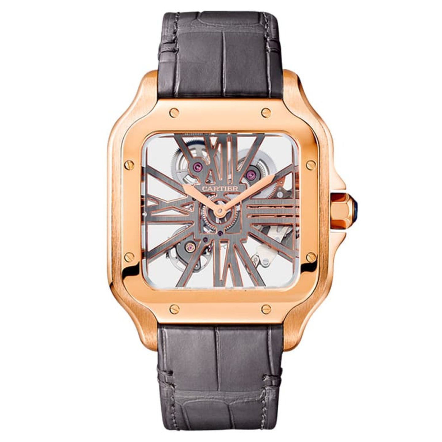 Cartier Santos WHSA0018 - (1/1)