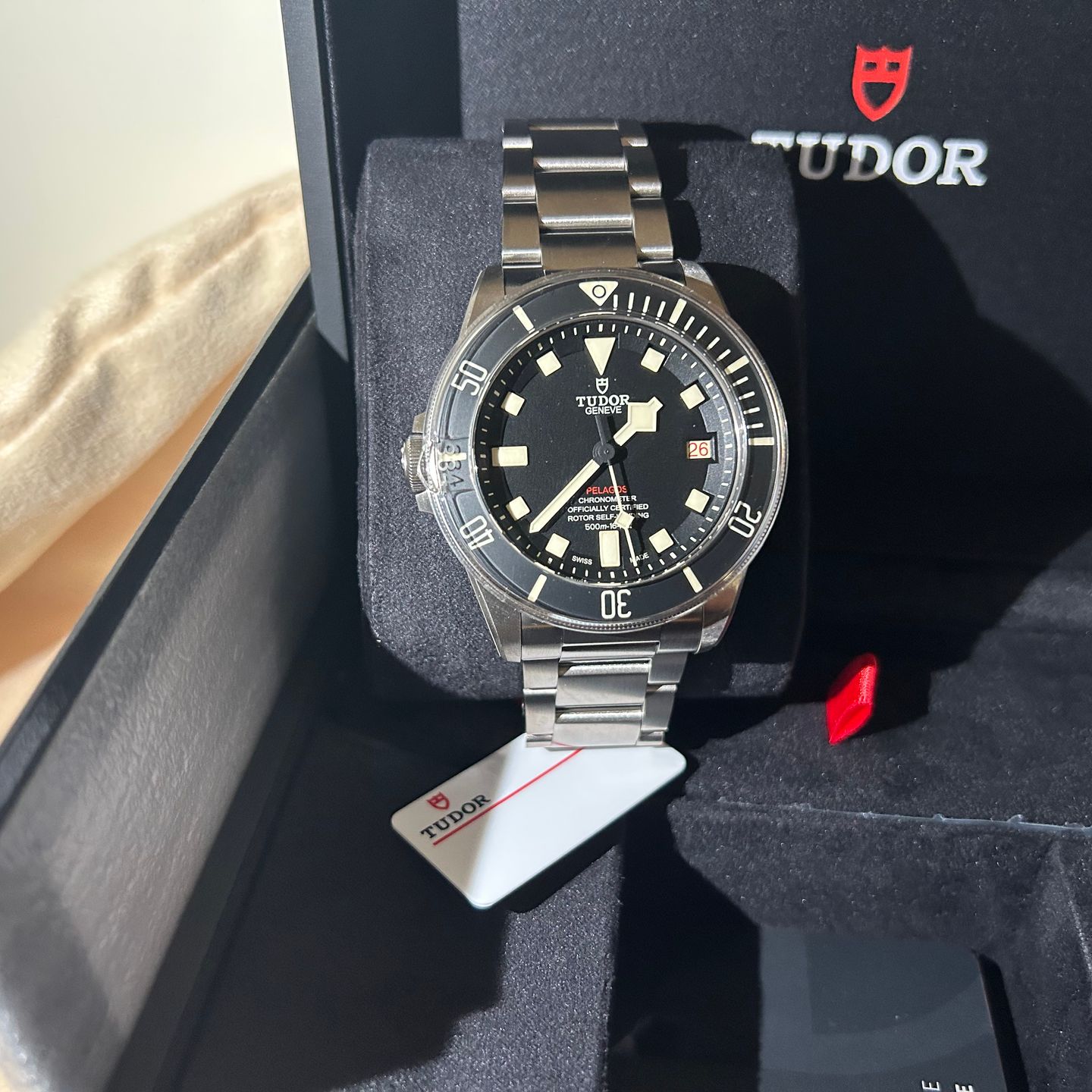 Tudor Pelagos 25610TNL - (6/8)