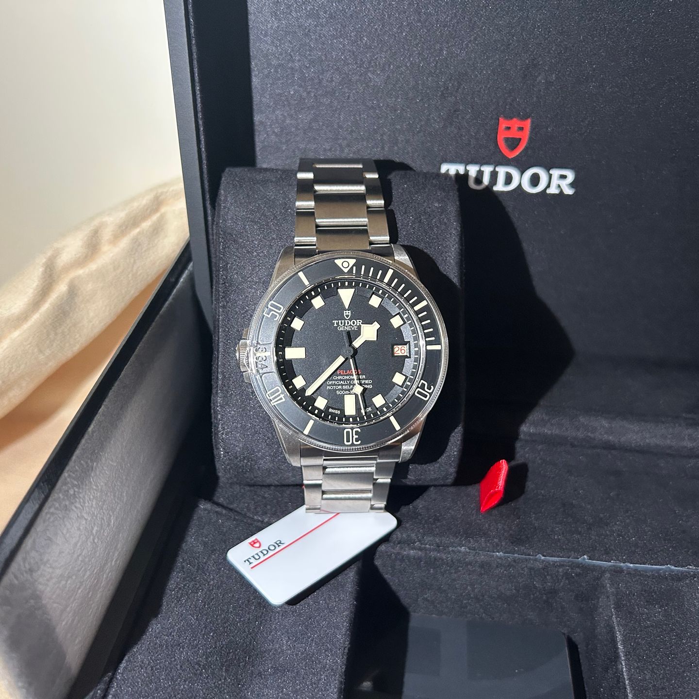 Tudor Pelagos 25610TNL - (8/8)