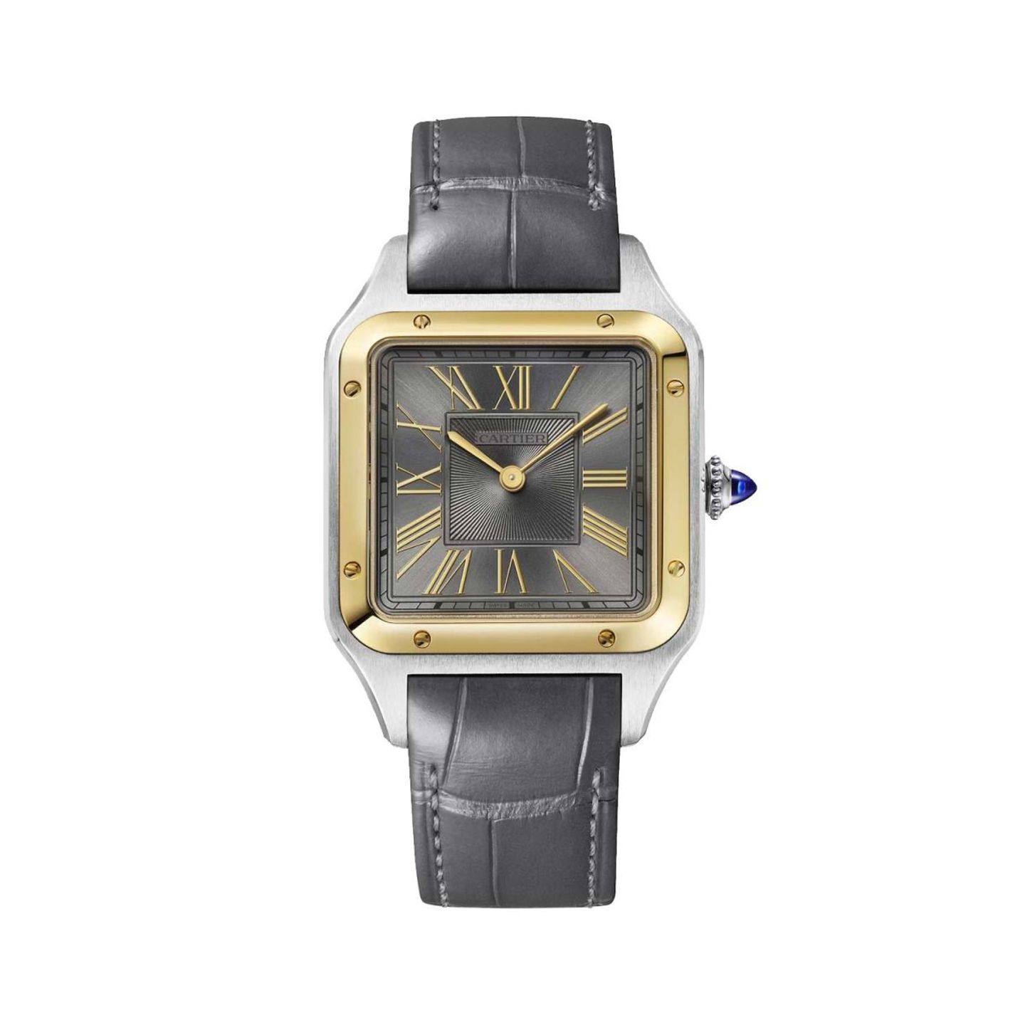 Cartier Santos Dumont W2SA0028 (2025) - Grey dial 31 mm Steel case (1/1)