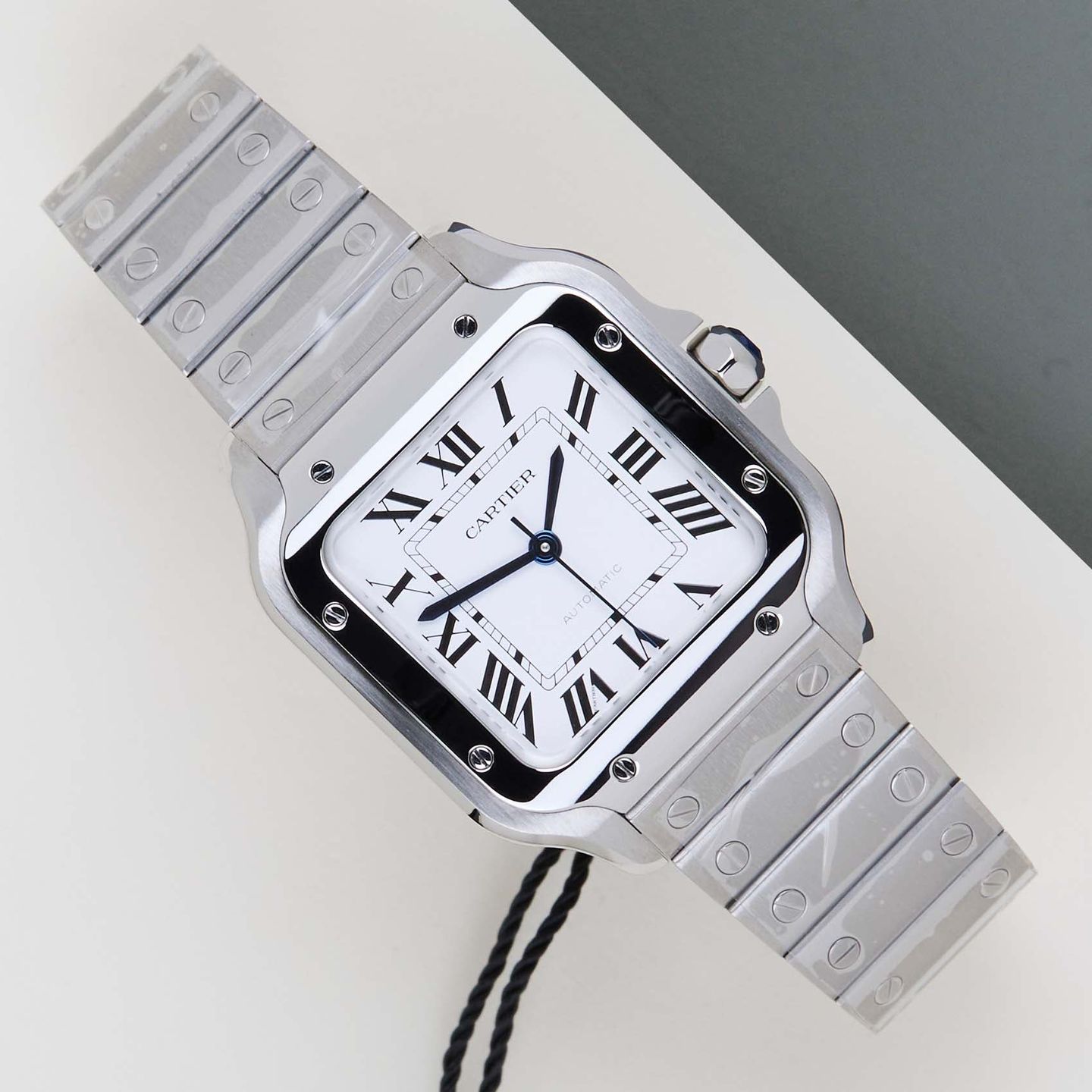Cartier Santos WSSA0029 - (1/8)