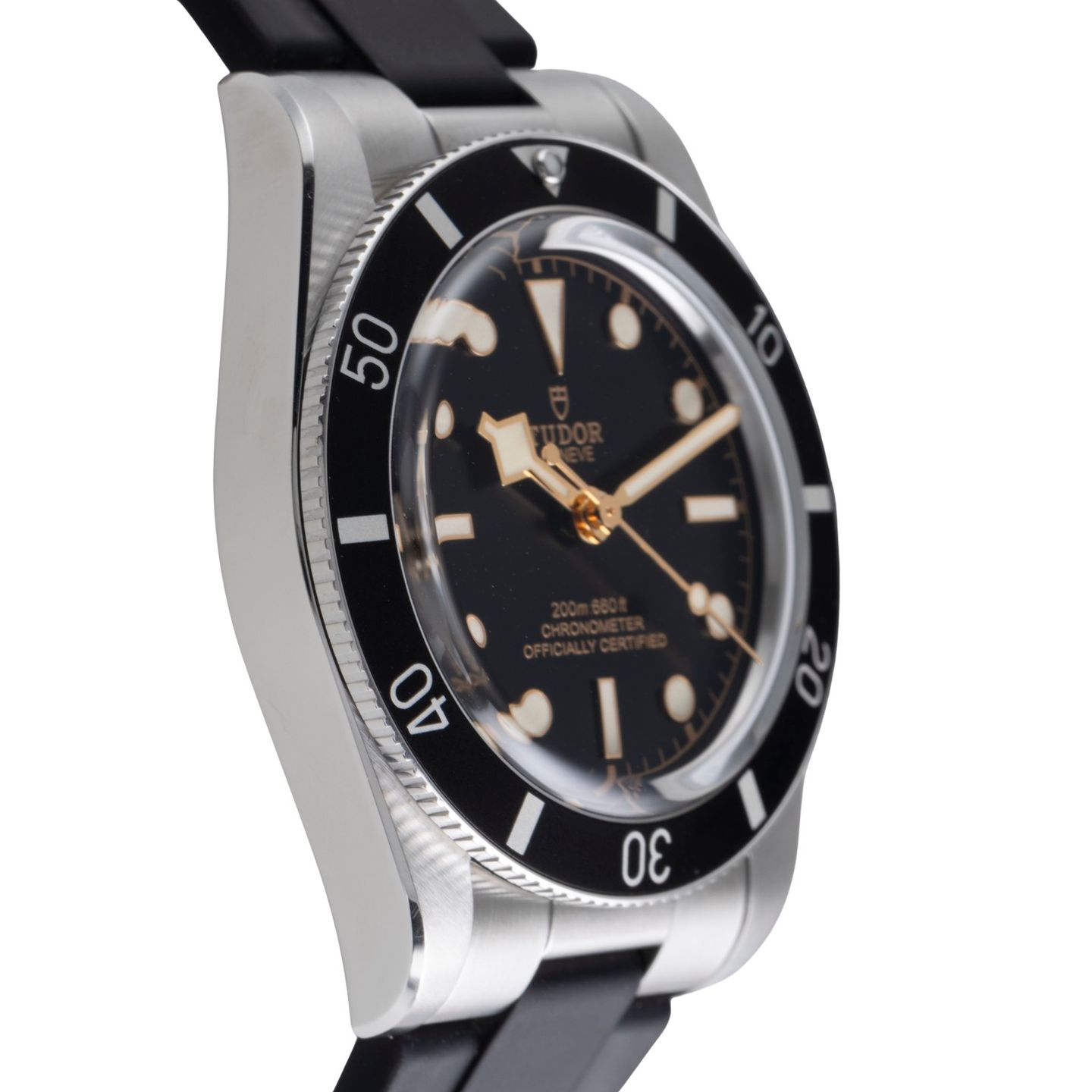 Tudor Black Bay 54 79000N - (7/8)