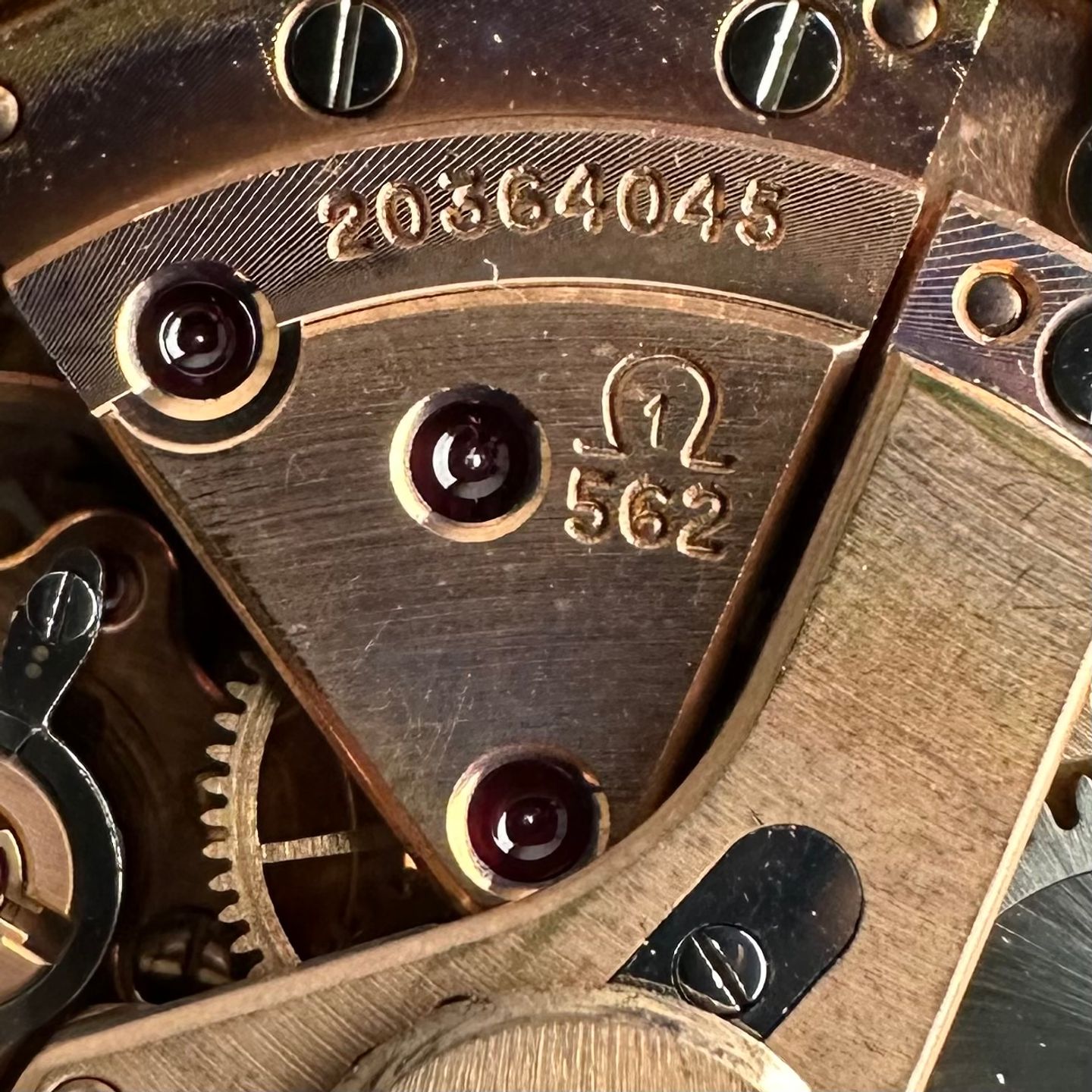 Omega Vintage 162.002 - (4/8)